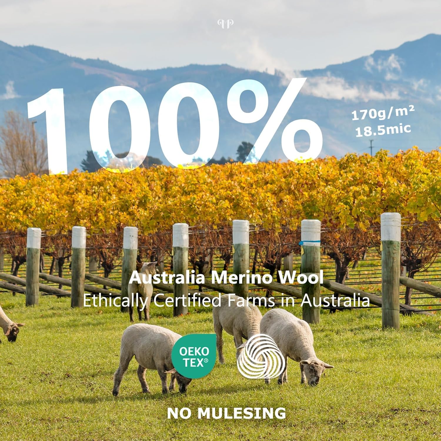 Merino Protect 100% Merino Wool Base Layer Women Thermals Underwear Soft Long Sleeve Shirt for Hiking Skiing - Image 3