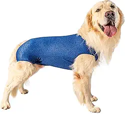 Roupa pós-cirúrgica específica para castração de cães machos Tam 01 - peso 1,5 kg a 2,5kg - Pet Designer