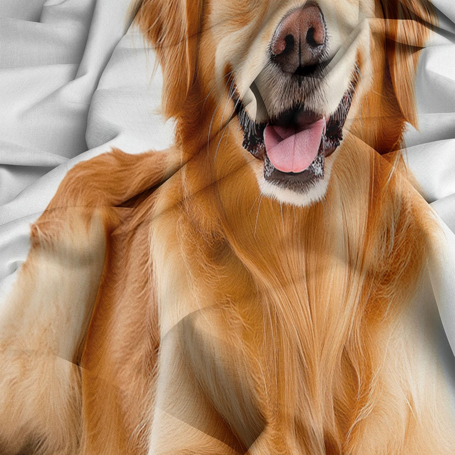 Funda Nordica para Cama 105/135 Perro Perdiguero De Oro Animales Funda de Edredón de Polialgodón, Juego de Ropa de Cama con Fundas Nordicas 180x220 cm + 2 Funda de Almohada 50x75 cm