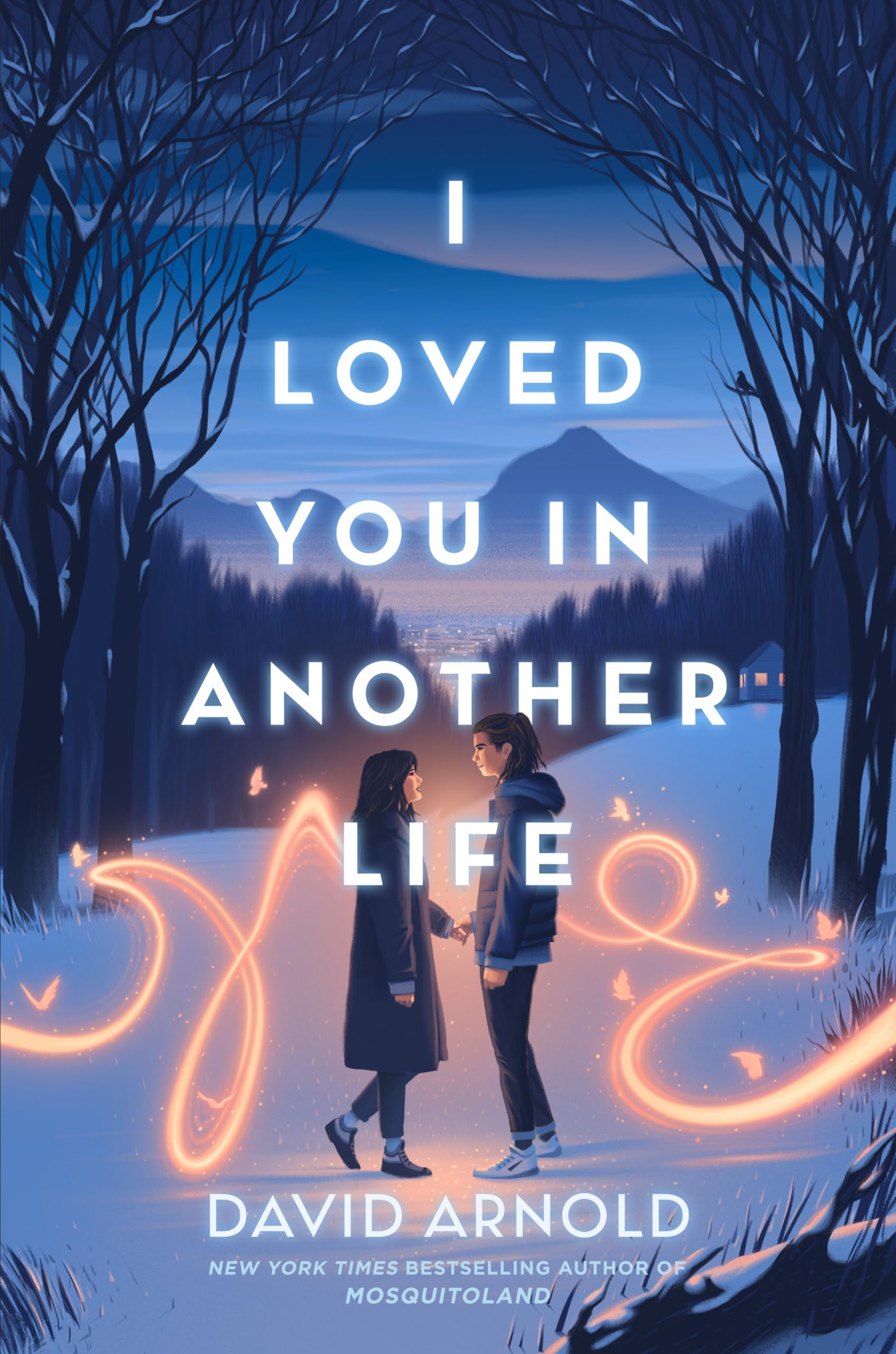Buy I Loved You in Another Life — BookShops.in