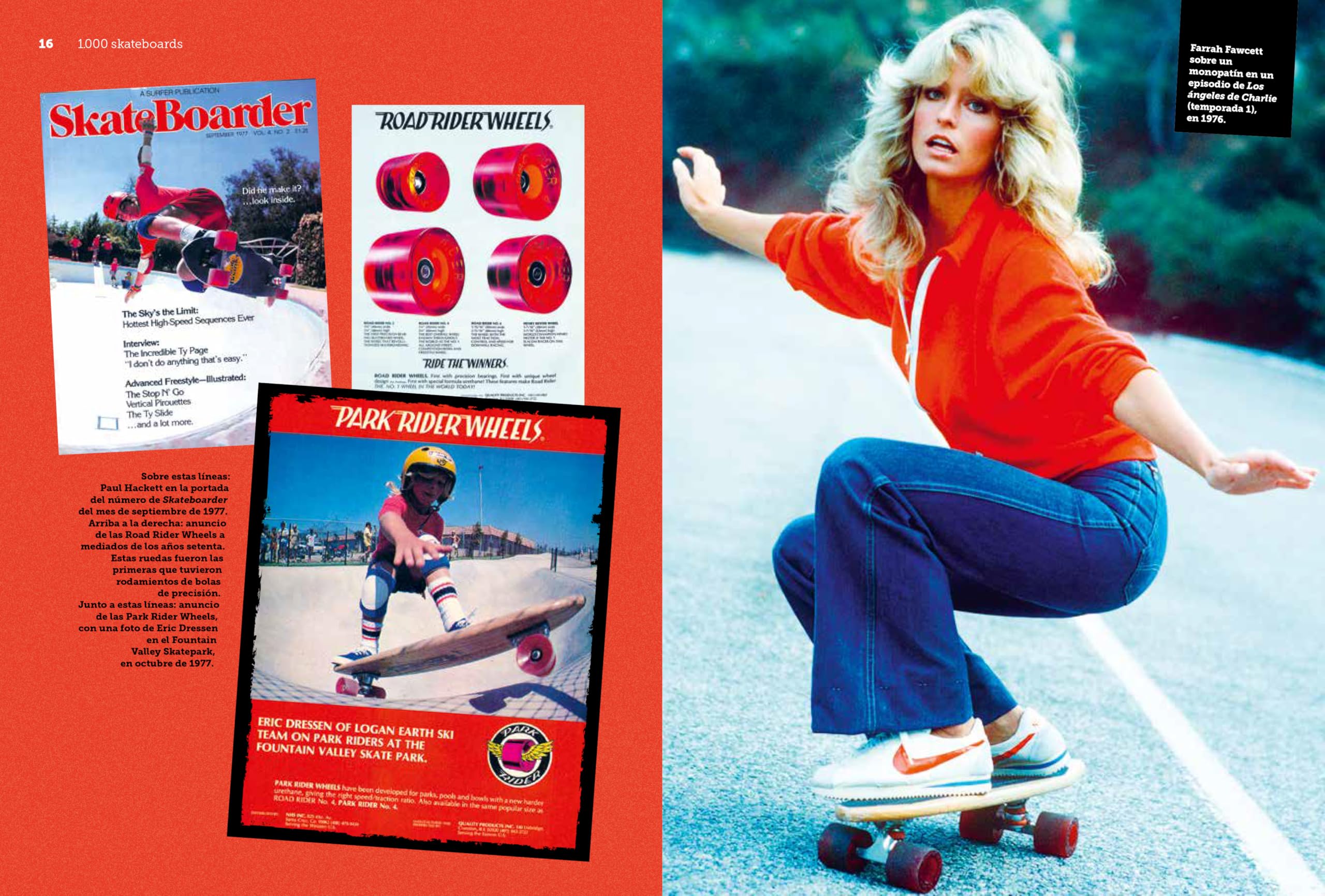 1.000 skateboards (Ocio y deportes)
