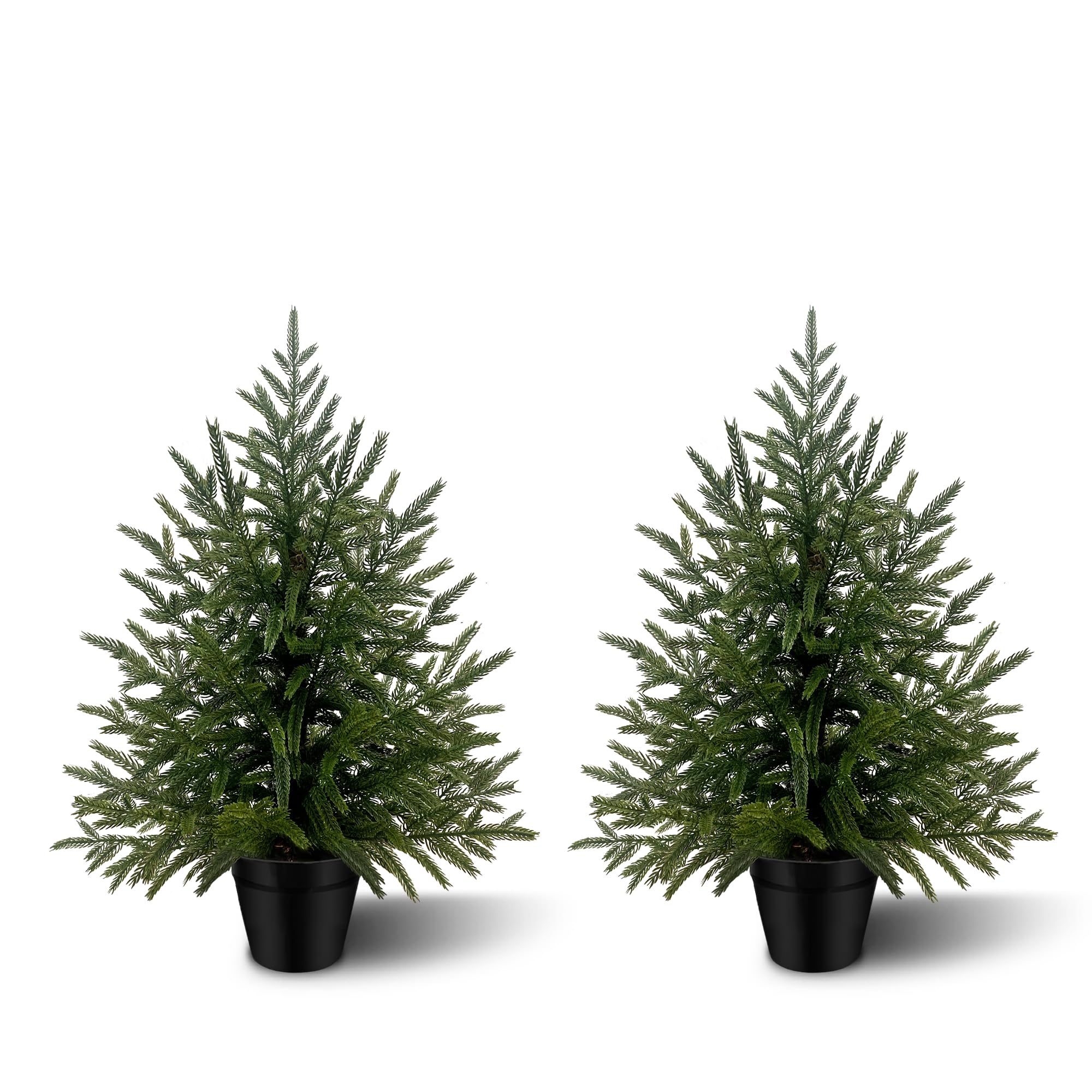 Artificial Norfolk Pine 2-Pack