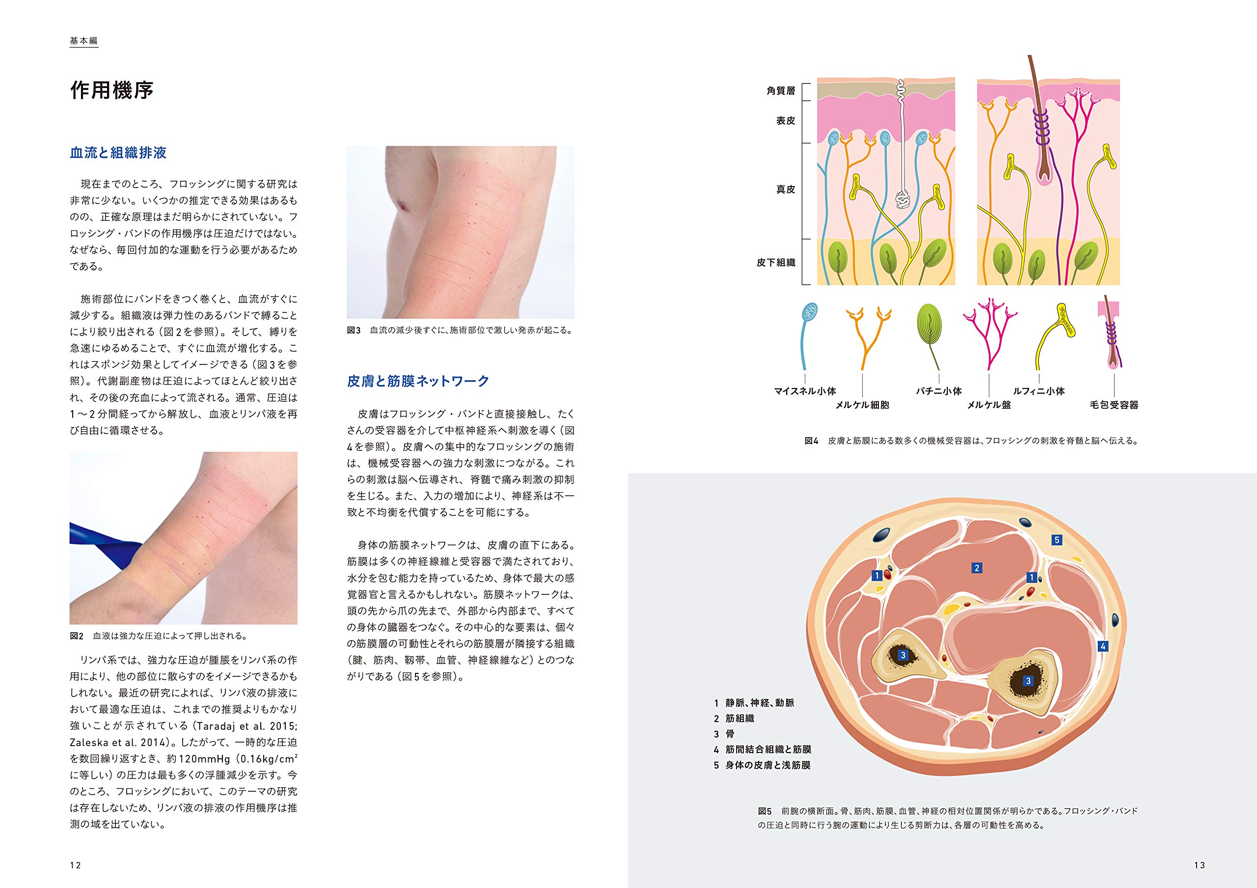巻いて 動かして 治す フロッシングテクニックbook Dvd Hendrik Eggers Roland Kreutzer Klaas Stechmann Bernard C Kolster 武田淳也 本 通販 Amazon