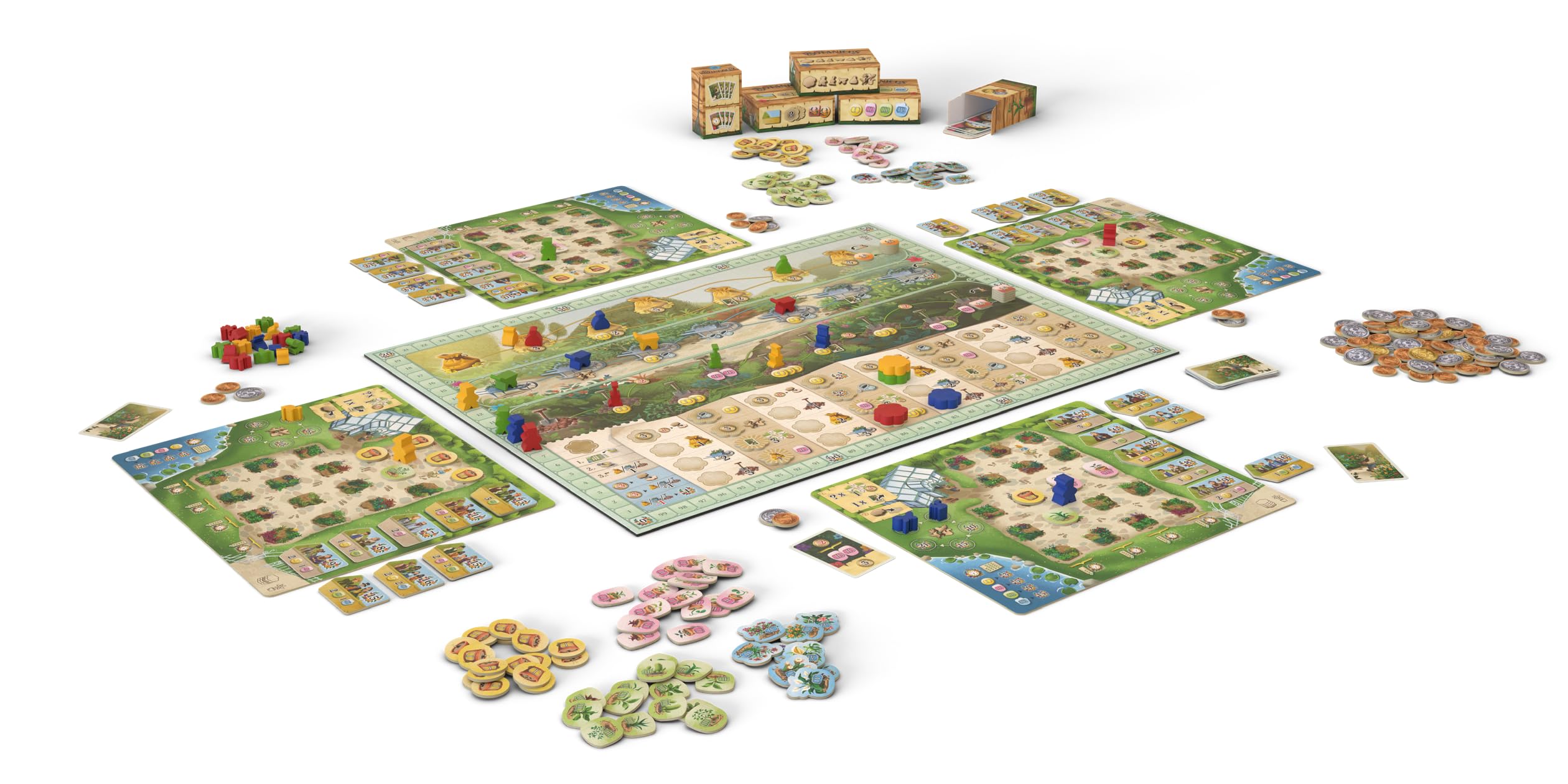 Hans im Glück, Botanicus, Gioco di strategia, 2-4 Giocatori, dai 10+, 45-60 Minuti, Tedesco