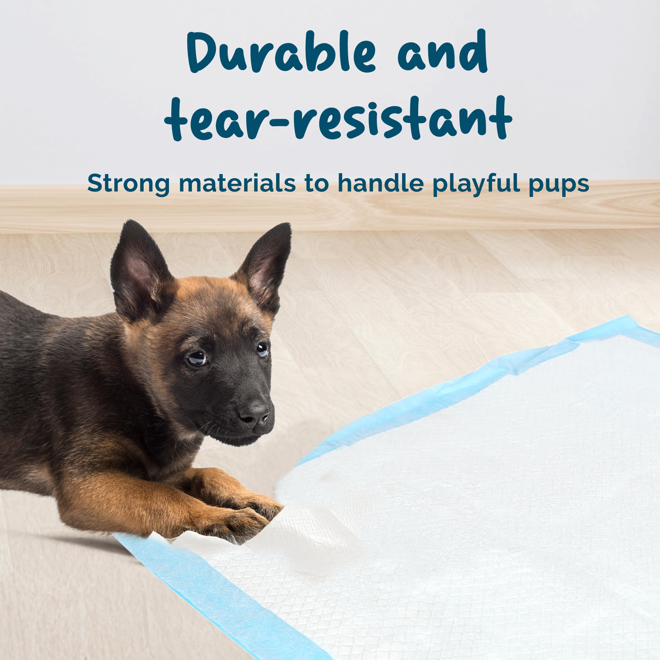Alèses Jetables Pour Chien 100 Unités - Ultra-absorbantes, Anti-odeurs 33x45 Cm - 12