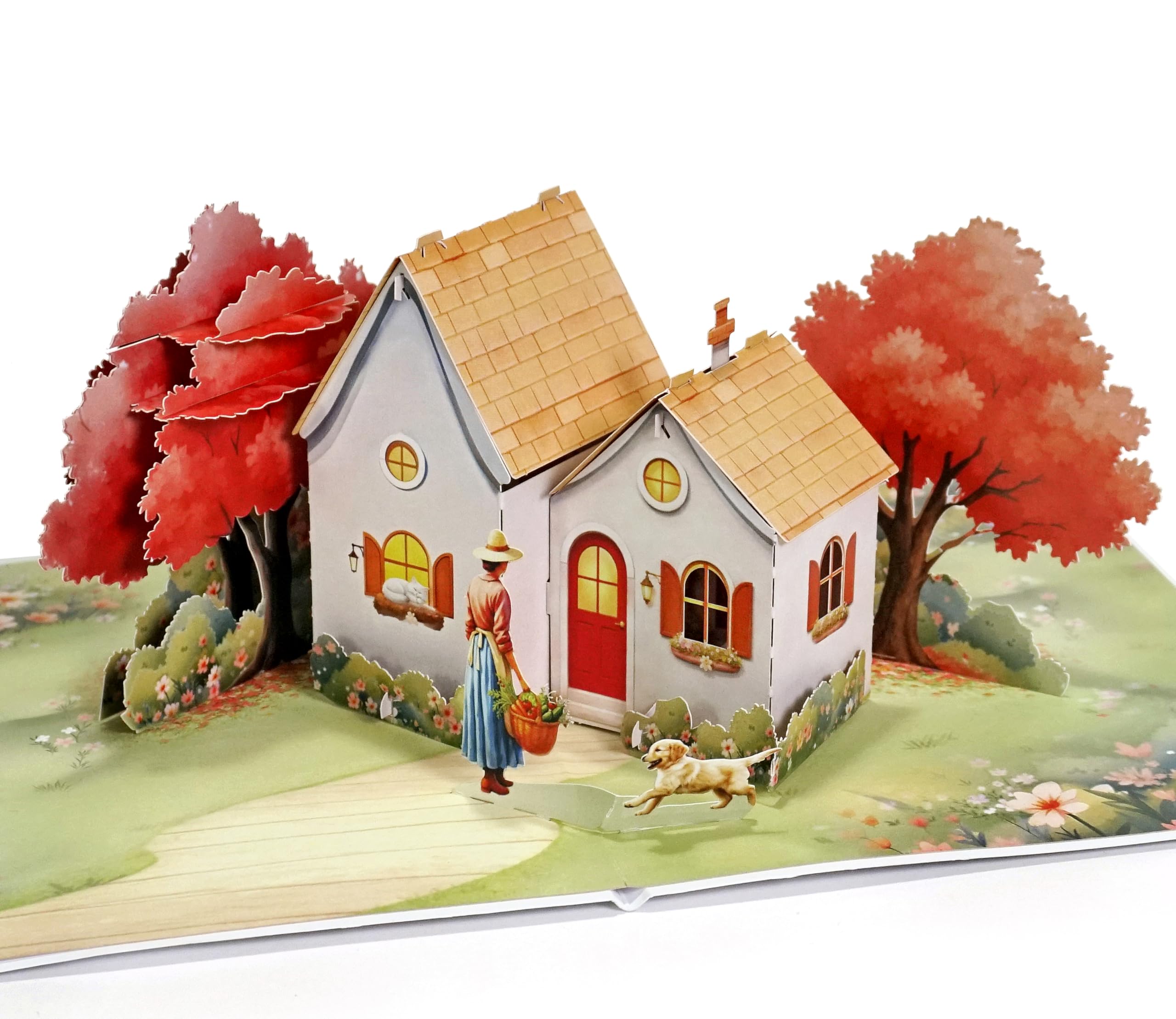 CUTPOPUP Home is Where Mom is, Happy Mothers Day Cards Pop Up, Birthday Cards for Women, 3D Flowers Card for Wife Her Girls Sister Daughter Mum Anniversary (Mom) US8-SD276UK