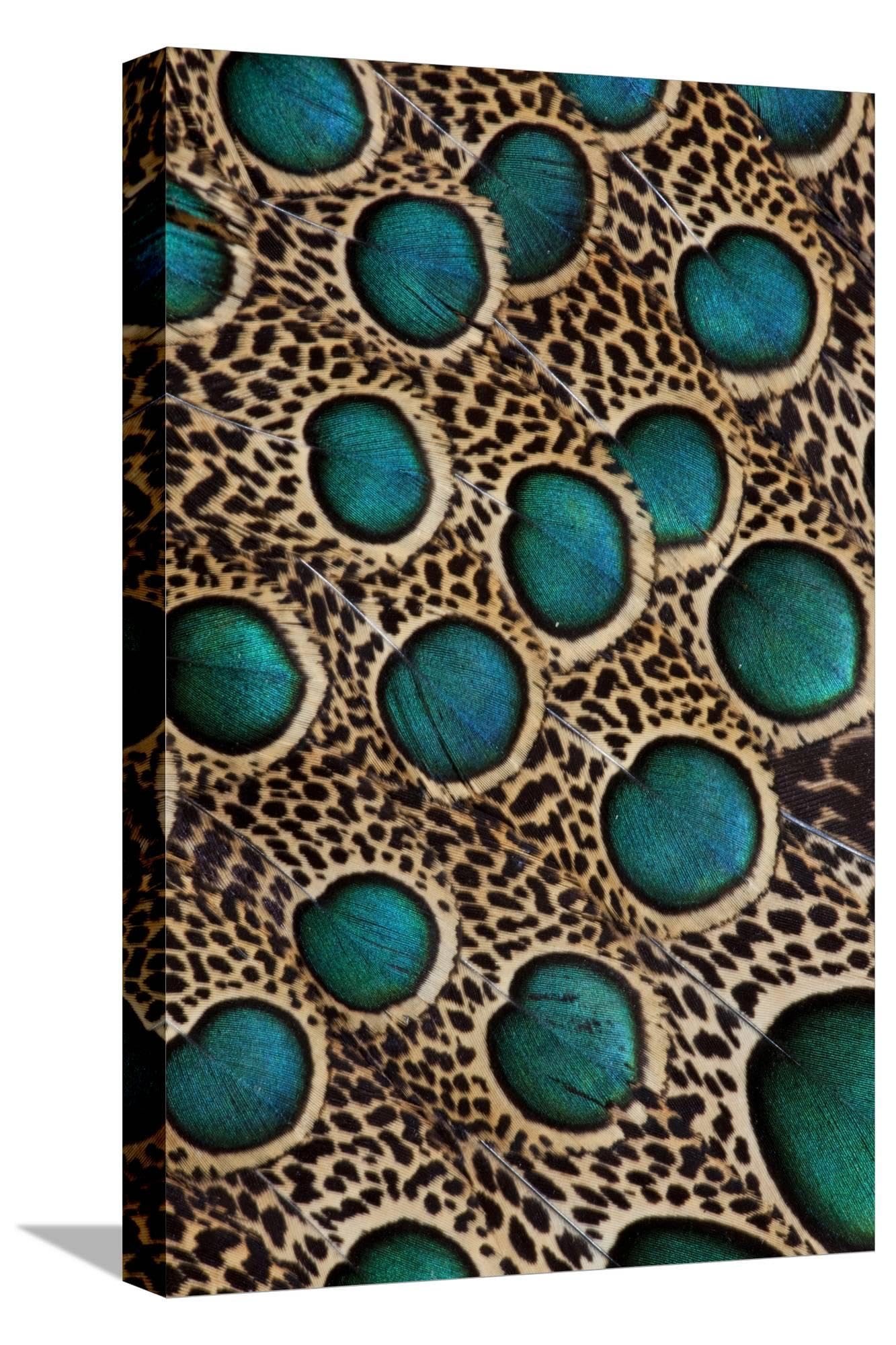 ART.COM Canvas Wall Art Prints Malay Peacock-Pheasant Feathers with Blue Circles by Darrell Gulin, Animals Decor, 12" x 18"