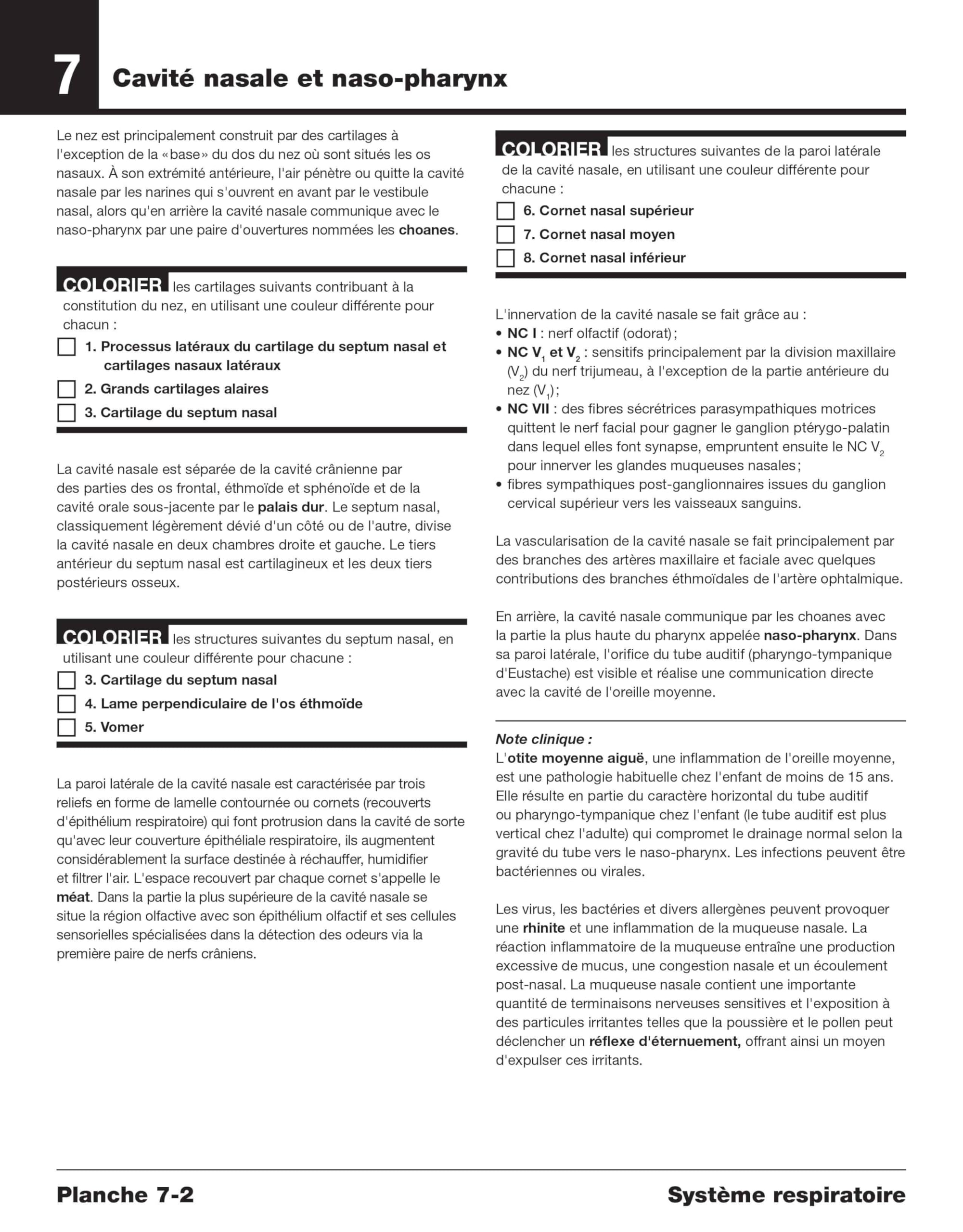 Anatomie à colorier Netter