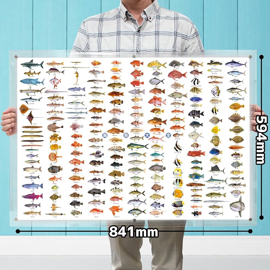 ウォッカ　ポスター A1サイズ Amazon.co.jp: 海の魚 ポスター 特大サイズ 海魚大全 お風呂