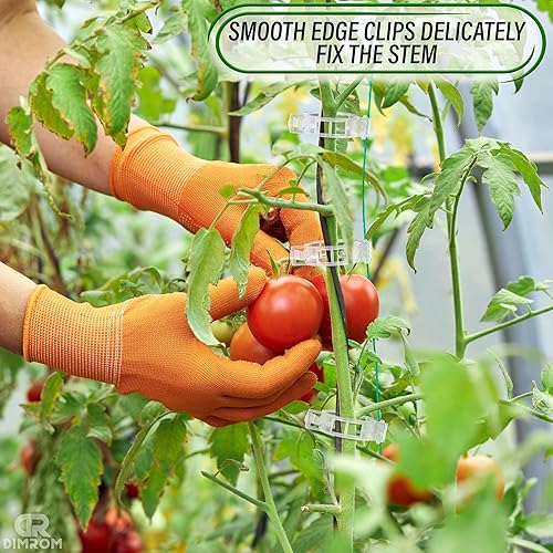 Miniatura 7 de Clips para plantas trepadoras  200 clips de tomate para colgar plantas para plantas al aire libre, lazos de plantas de tomate para soporte  Clips de