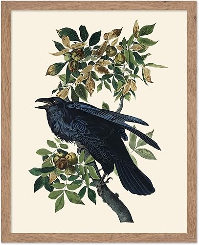 Miniatura 269 de Poster Master Póster vintage de flamenco americano, estampado retro de flamenco rosa, arte de pájaro, regalo para él, ella, amante de los animales,