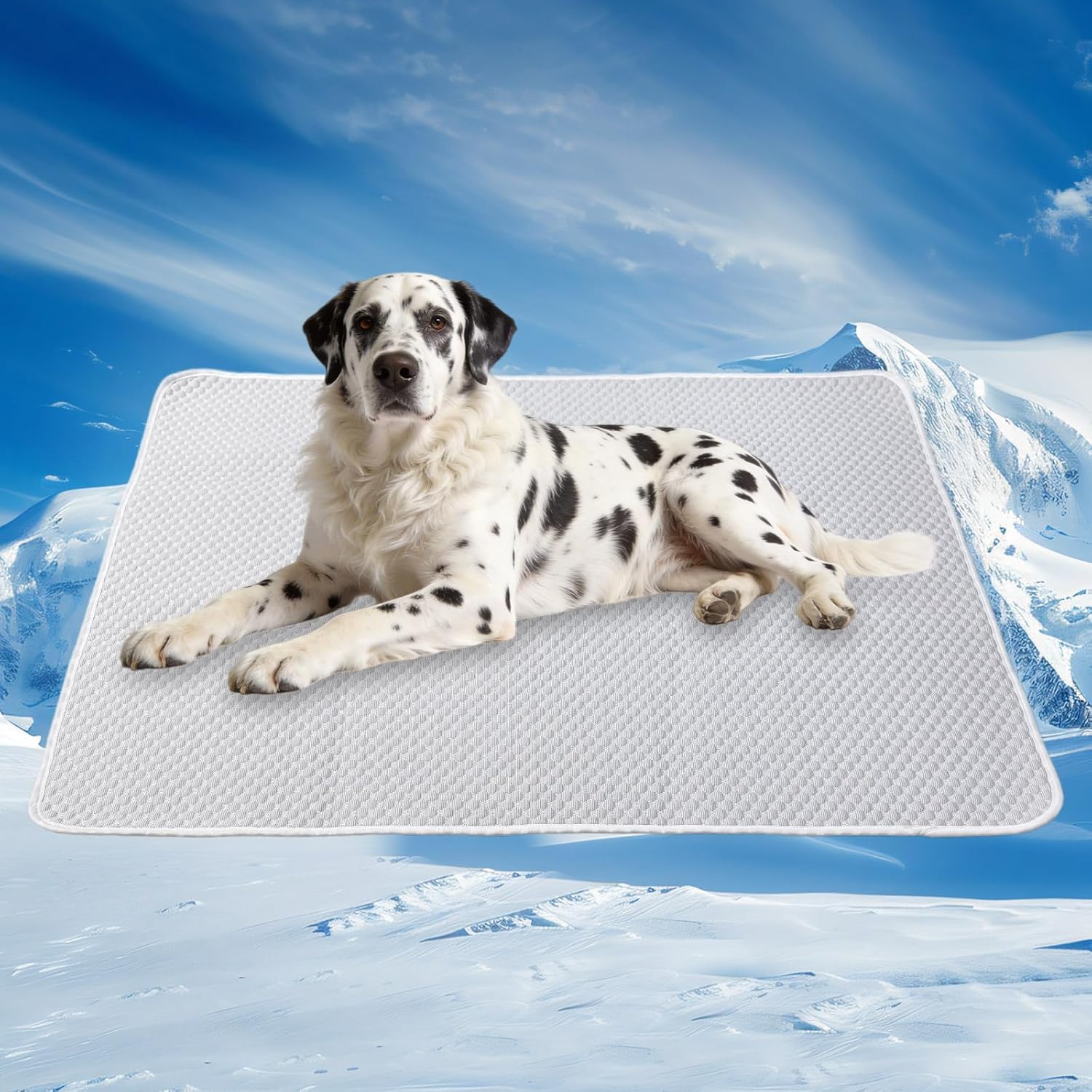 Dog Cooling Mat XL 60"x40" for Giant Dogs, Q-Max>0.4 Ice-Silk Fabric, Thick & Non-Slip, Washable & Waterproof, Portable Rapid Cooling for Crate, Indoor, Camping & Travel (XL, 60"X40")