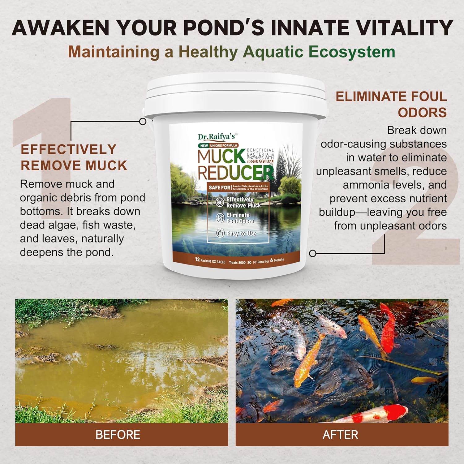 Dr.Raifya’s Muck Reducer Pellets 6 LB - Natural Pond Sludge Solution, Experience The Pure Water & Fresh Odor, Easy to Use, Beneficial Bacteria Safe for Fish, Lake & Outdoor Ponds, 6-Month Supply
