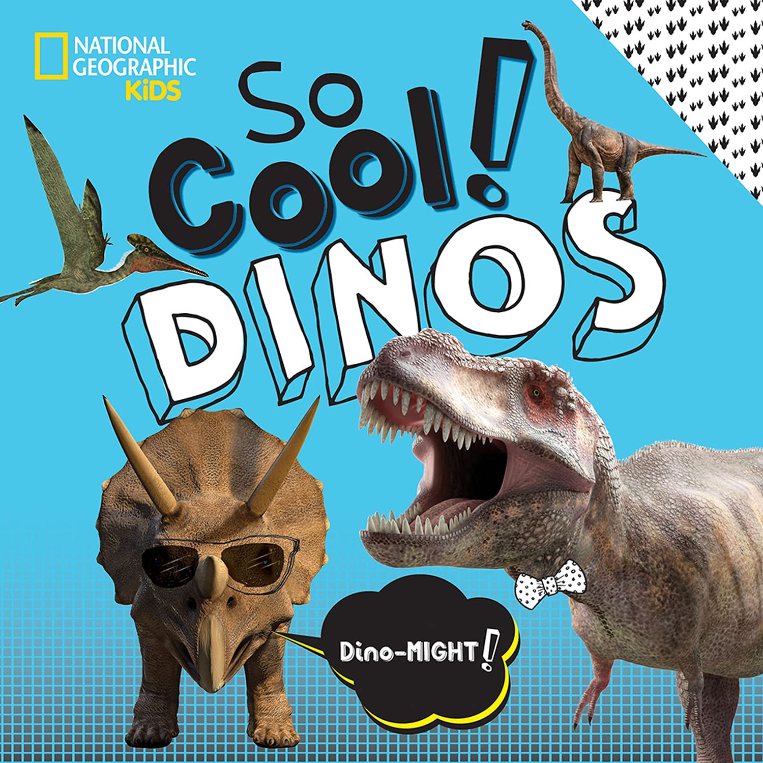 So Cool! Dinos (So Cool/So Cute)