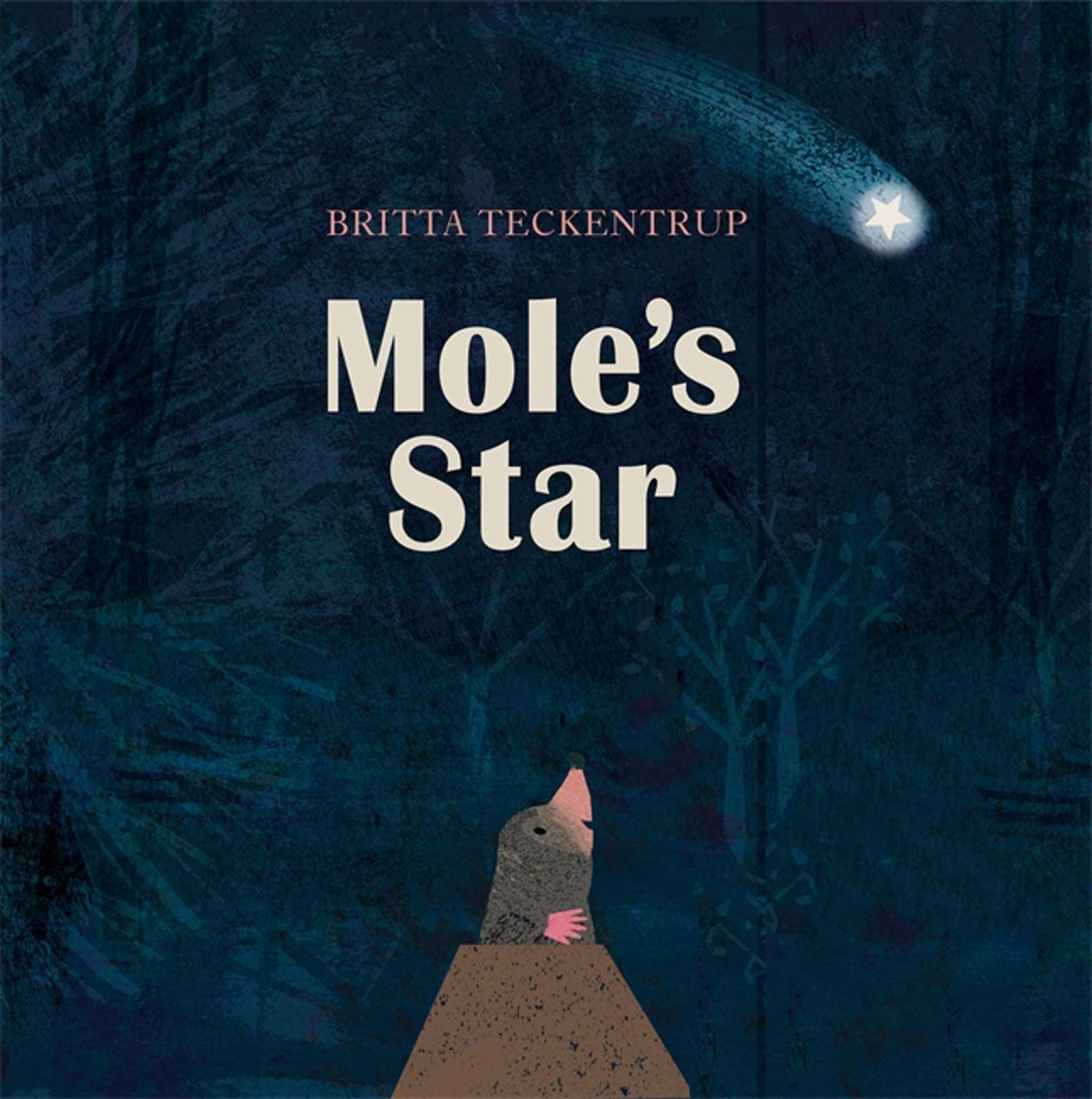 Britta Teckentrup Mole's Star Book - Children's Fiction Book