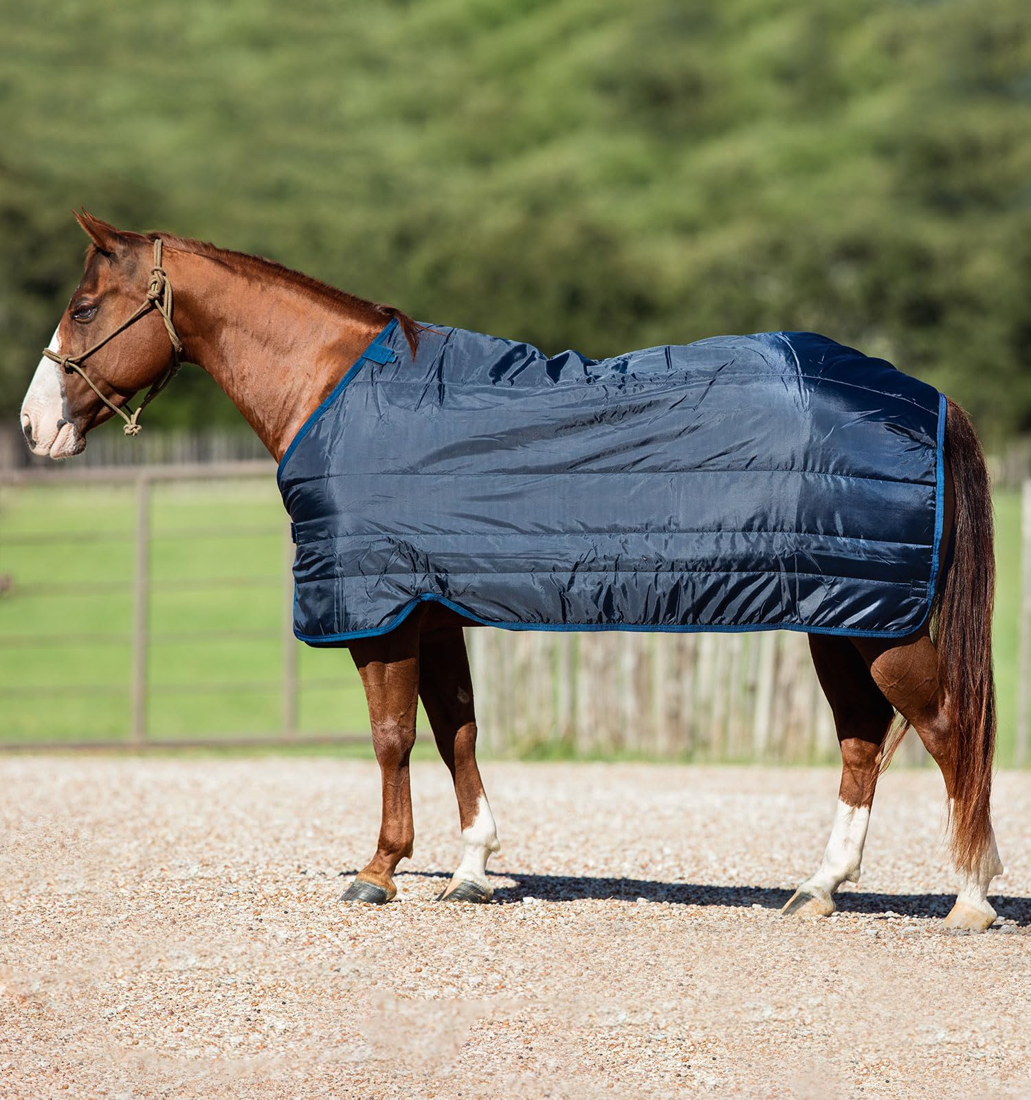 Horseware Liner 100g - Navy