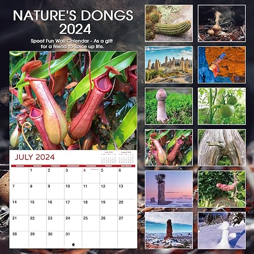 Miniatura 5 de Regalos de broma  Calendario divertido 2024, 12 meses desde enero de 2024 a diciembre de 2024, 11 x 17 pulgadas (abierto), calendario de pared con