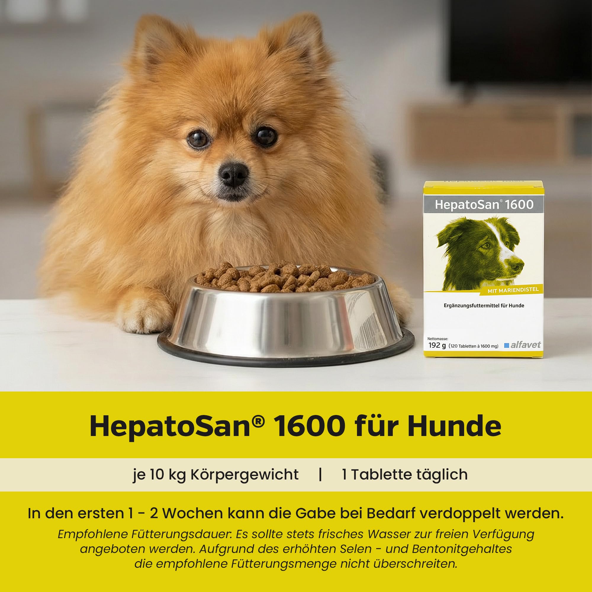 Alfavet HepatoSan 1600 - suplemento alimenticio para Perros - Ayuda al metabolismo hepático - 120 tabletas de 1600mg