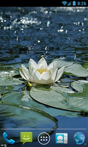Water Lily Live Wallpaper – vue 4