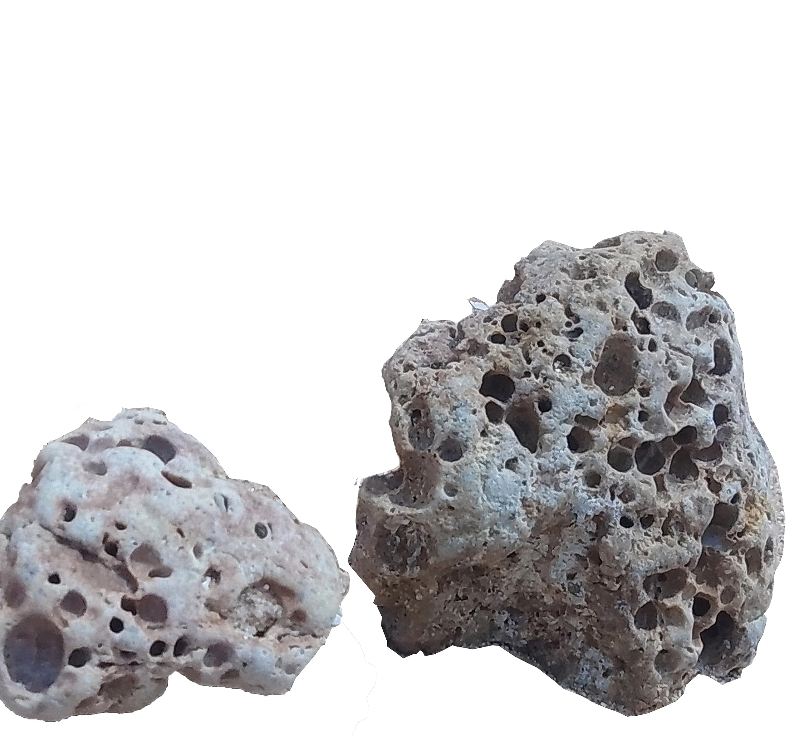 JPS Aquarium | Rocks for Aquarium Decoration & Garden Decoration (Congo Rock - 3 Kg) (B0CCYRW1RS) Amazon Price History, Amazon Price Tracker