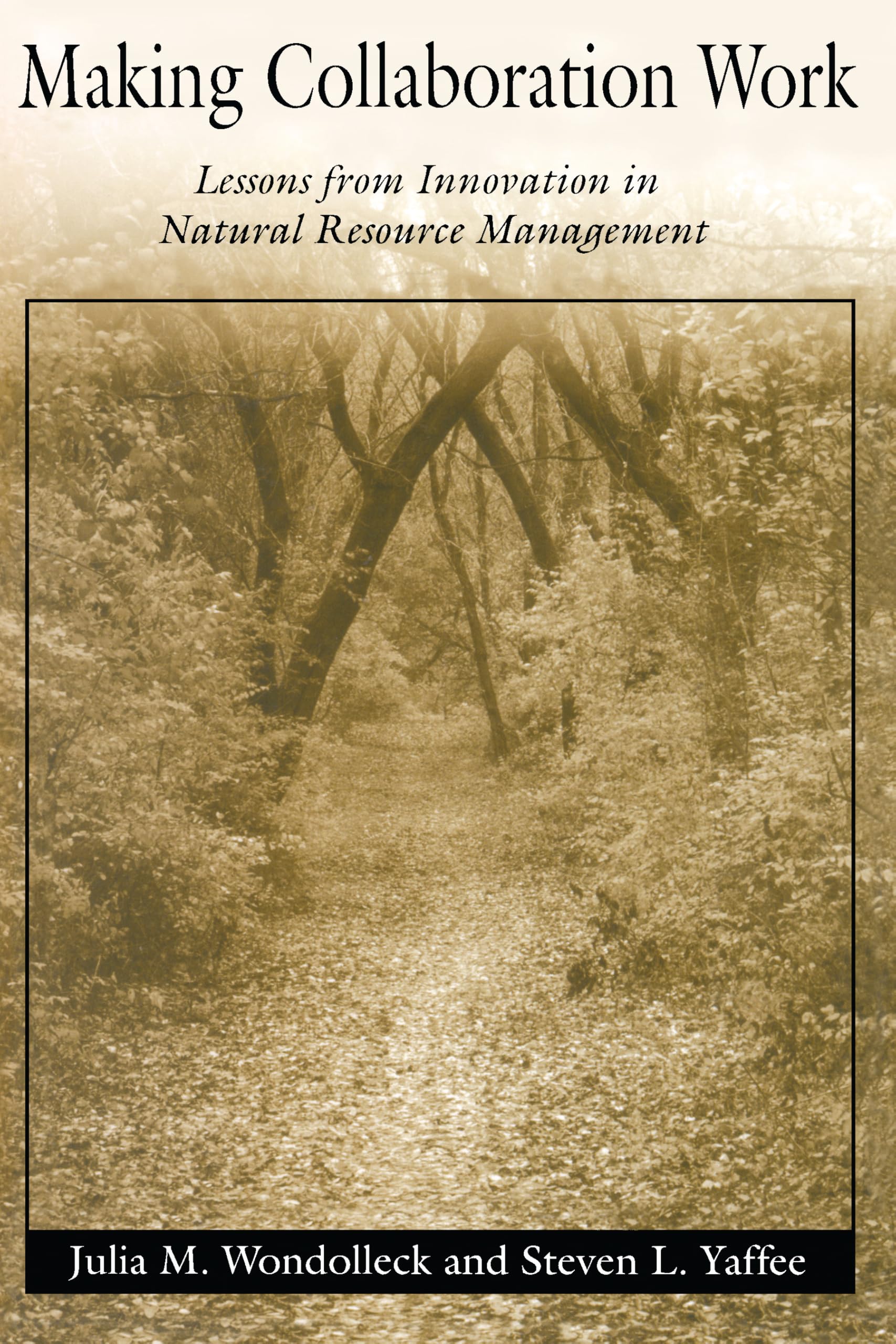 Buy Making Collaboration Work: Lessons from Innovation in Natural Resource Management: Lessons from Innovation in Natural Resource Managment — BookShops.in