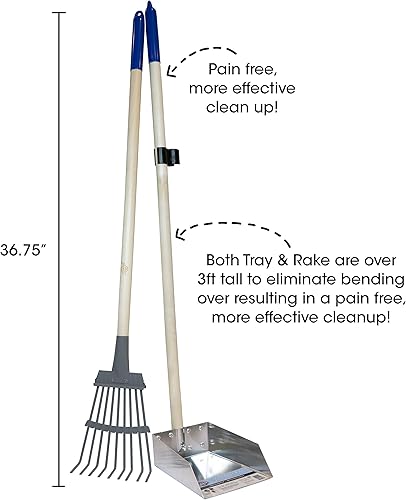 Miniatura 3 de Bandeja de metal con rastrillo Spotty