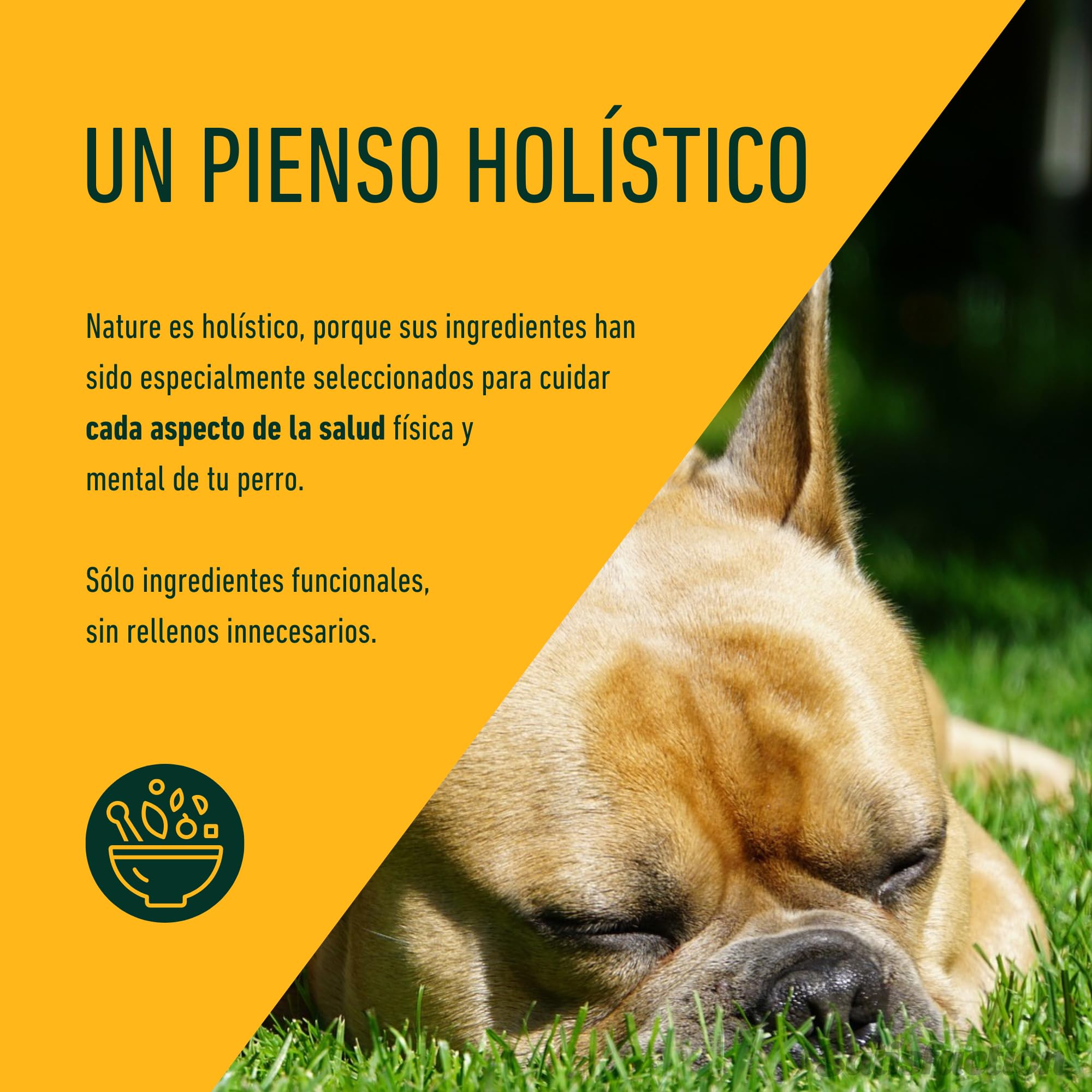 Pienso Satisfaction Nature de salmón para Perros 12 KG - Pienso Hipoalergénico - Monoproteico - Grain Free (Sin Cereales) - Salmón Fresco y Patata - Perros delicados