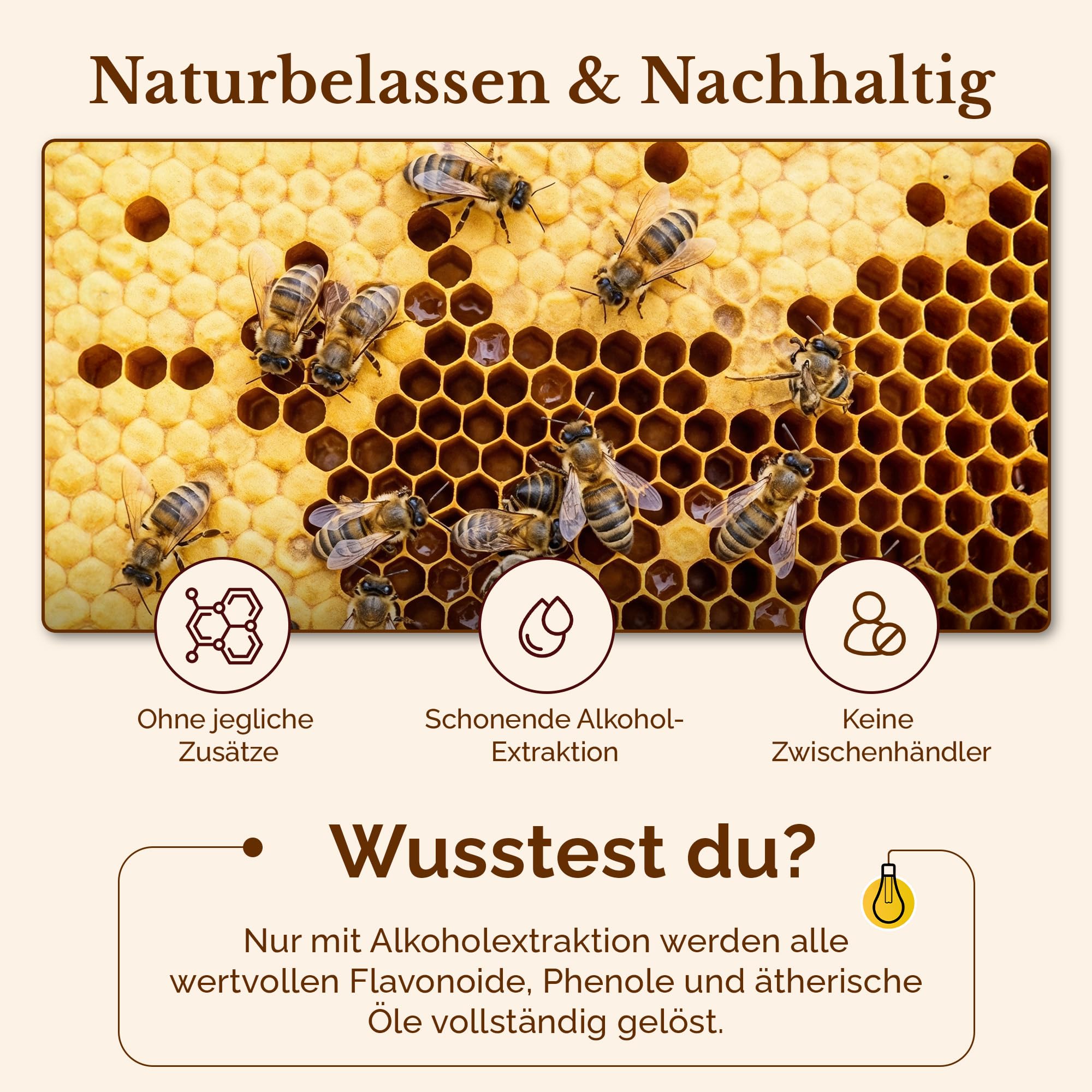 Nordbienchen Propolis Tropfen 40% - naturreine Propolis Tinktur direkt vom Imker - natürliches Rachen Spray, als Nagelserum, zum Gurgeln, bei Hautunreinheiten, uvm. Extrakt Serum 20ml