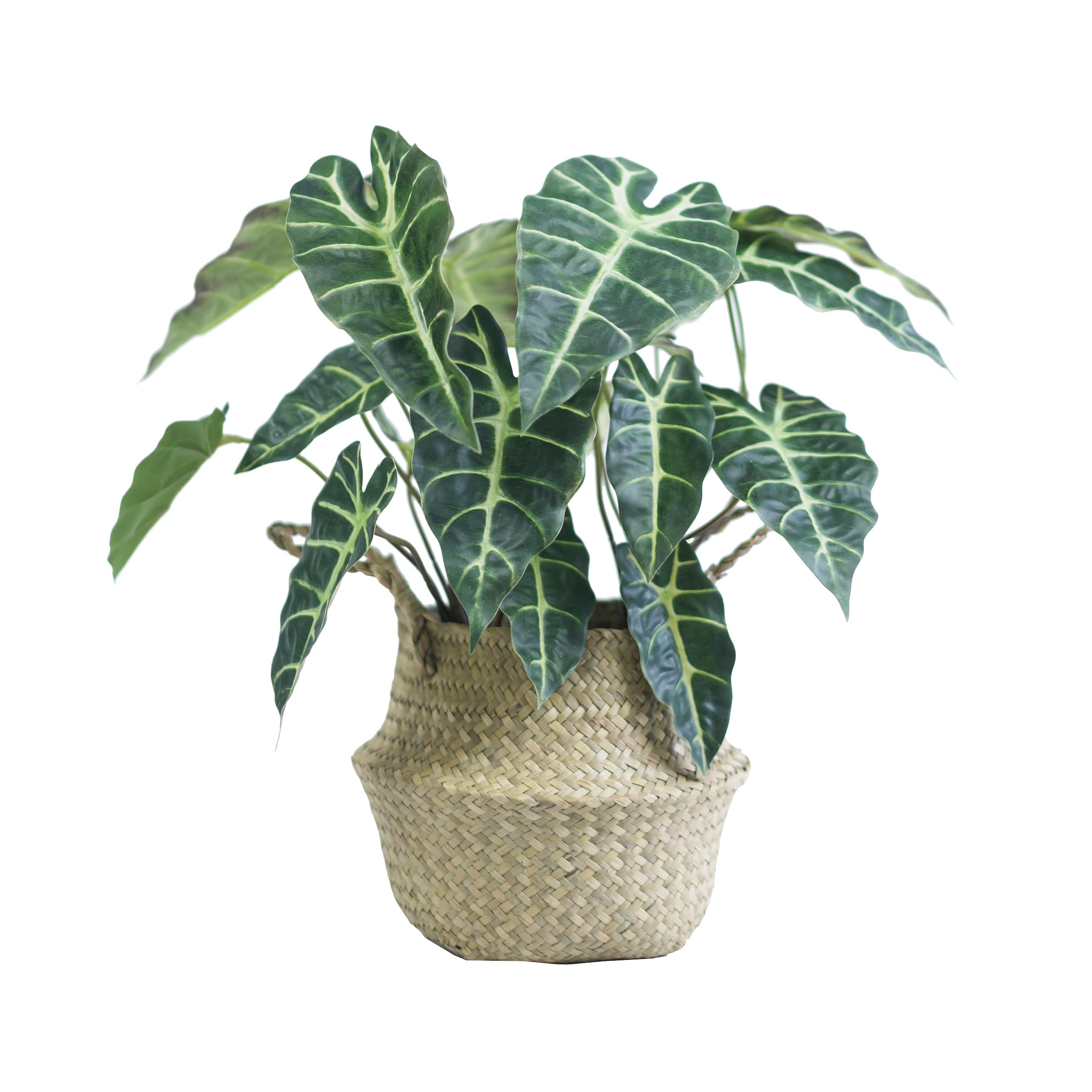 Kunstpflanze Alocasia 46cm – 20 Blätter mit weißen Adern wie echt | Künstliche Pflanzen groß für Wohnzimmer, Schlafzimmer, Büro & Balkon | Fake Plant Zimmerpflanzen Deko