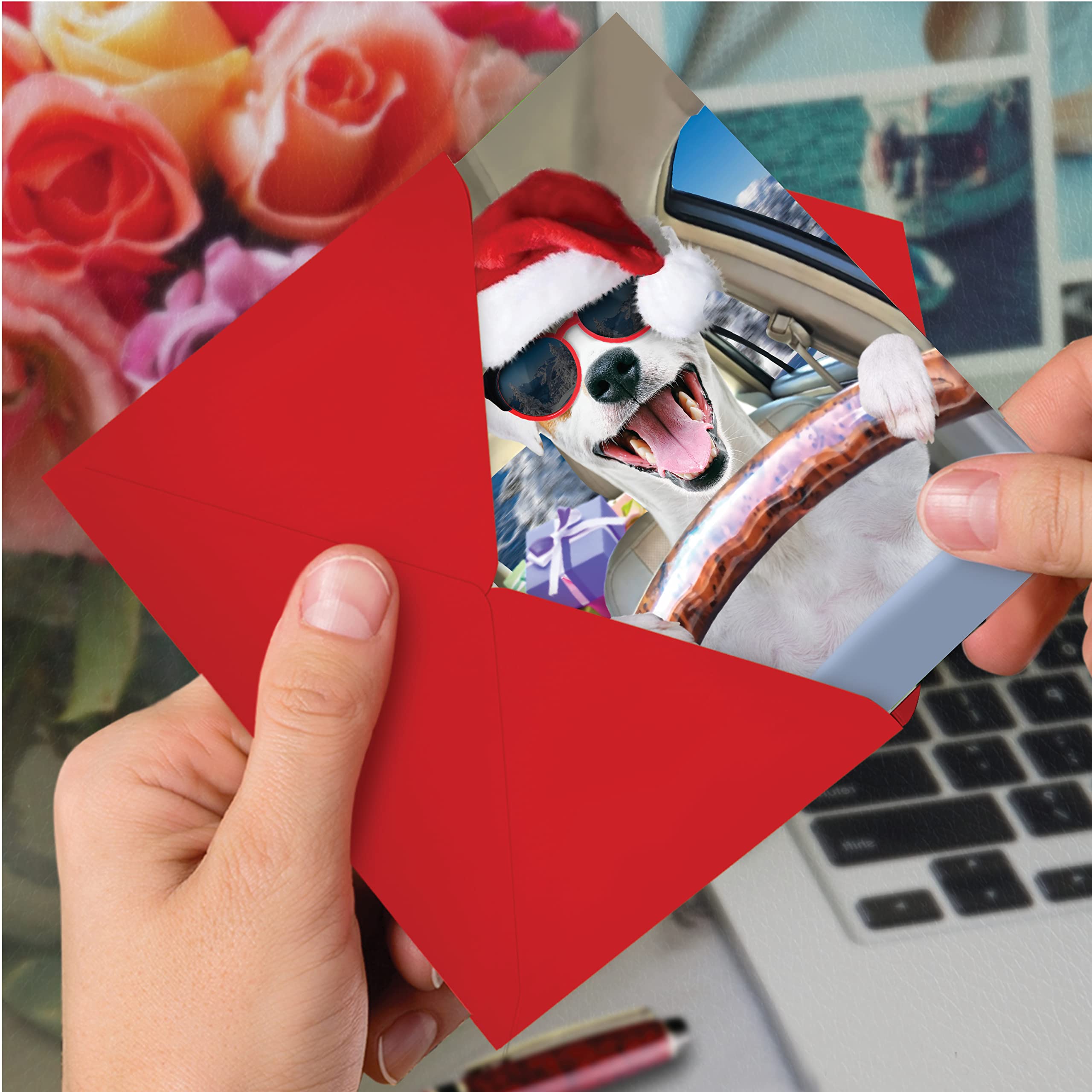NobleWorks Tier-Weihnachtskarten – 12 Lustige Karten Mit Umschlägen, Pet Holiday Humor