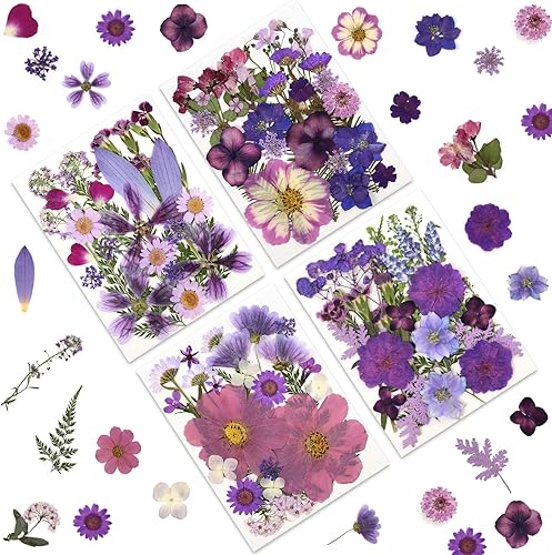 Miniatura 15 de Flores secas pastel vintage de 80P para manualidades, flores prensadas naturales reales en tonos suaves retro para arte de resina, manualidades de