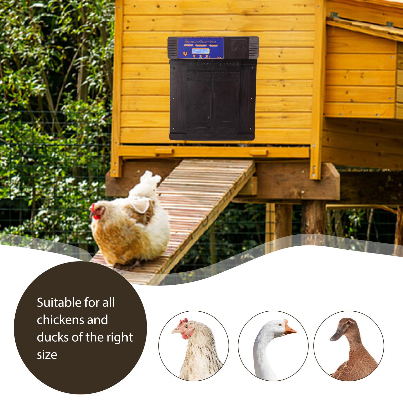 Apriporta automatico per polli, Display a LED Porta automatica per polli con timer, Apriporta automatico per pollaio completamente in plastica Porta migliorata con resistenza all'acqua(Marrone scuro