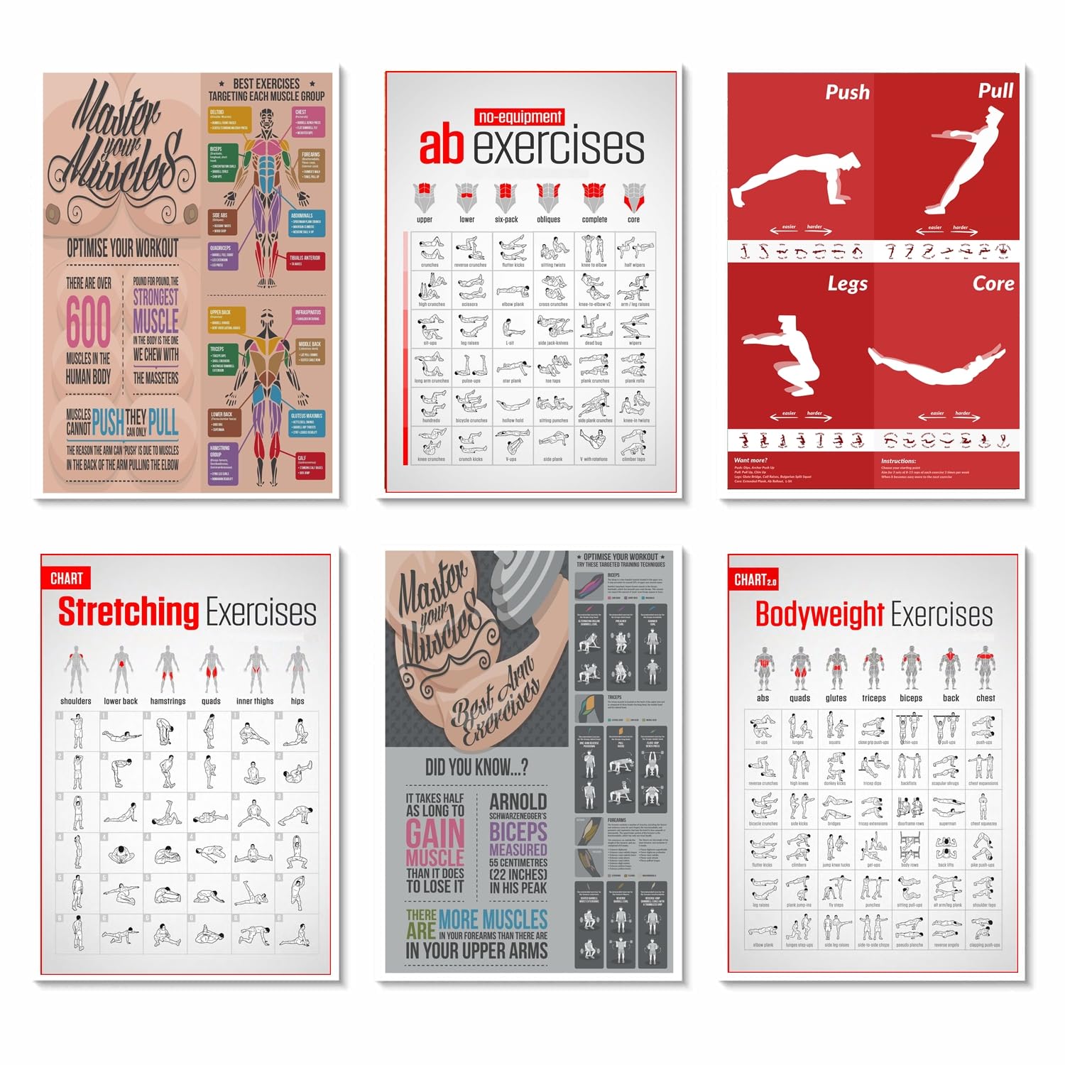 PIXELARTZ Wall Poster Motivational Workout and Exercises Illustrations Bodybuilding Gym Posters HD Quality Posters for Home, Office, Room Wall Multicolor 12x18 inches (Pack of 6 posters) (03, Large) (B0DD7KPSR9) Amazon Price History, Amazon Price Tracker