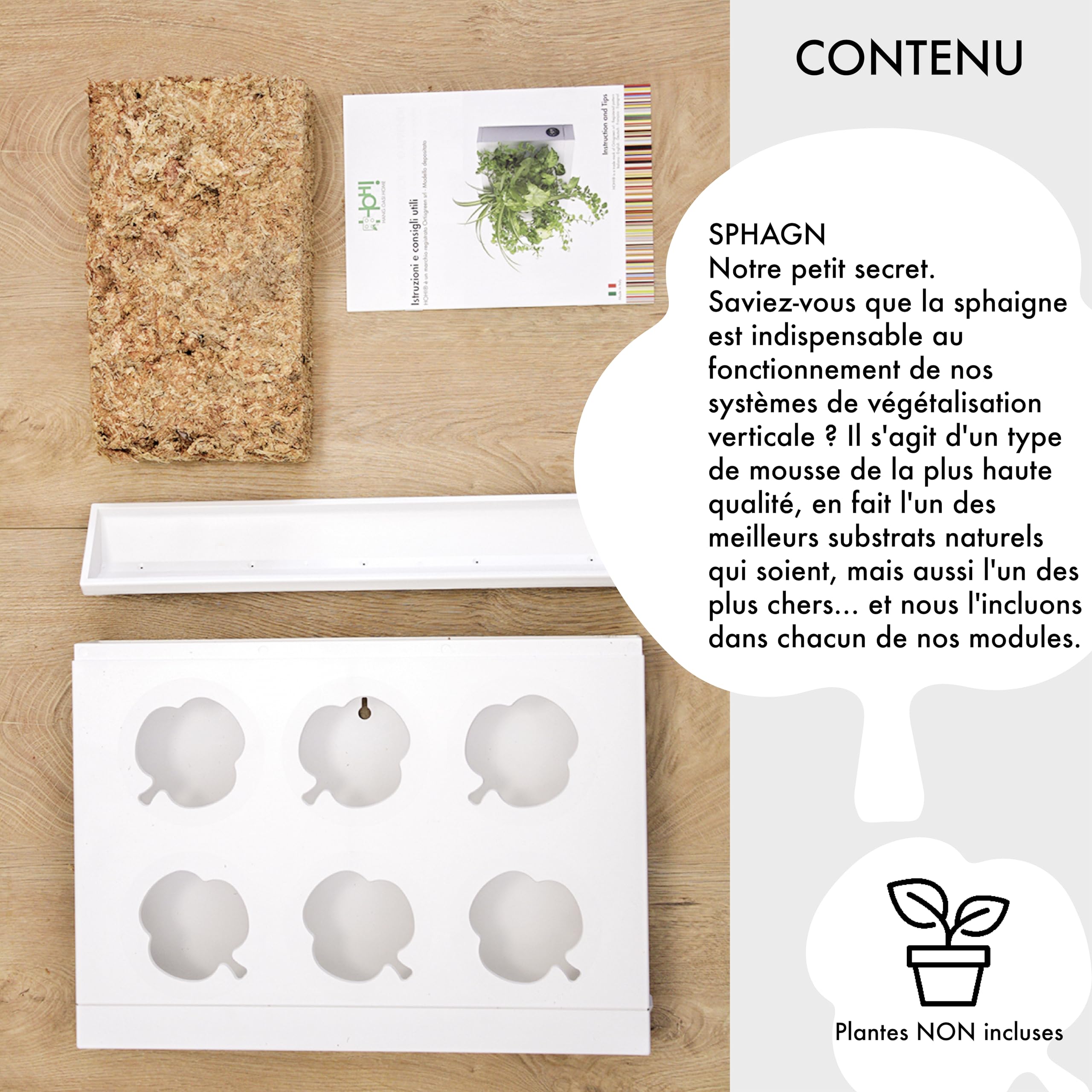 Ortisgreen HOH! Planche Vegetal DIY en Plastique ABS Blanc pour 6 Plantes, avec substrat Naturel (Mousse de sphaigne) et Instructions.