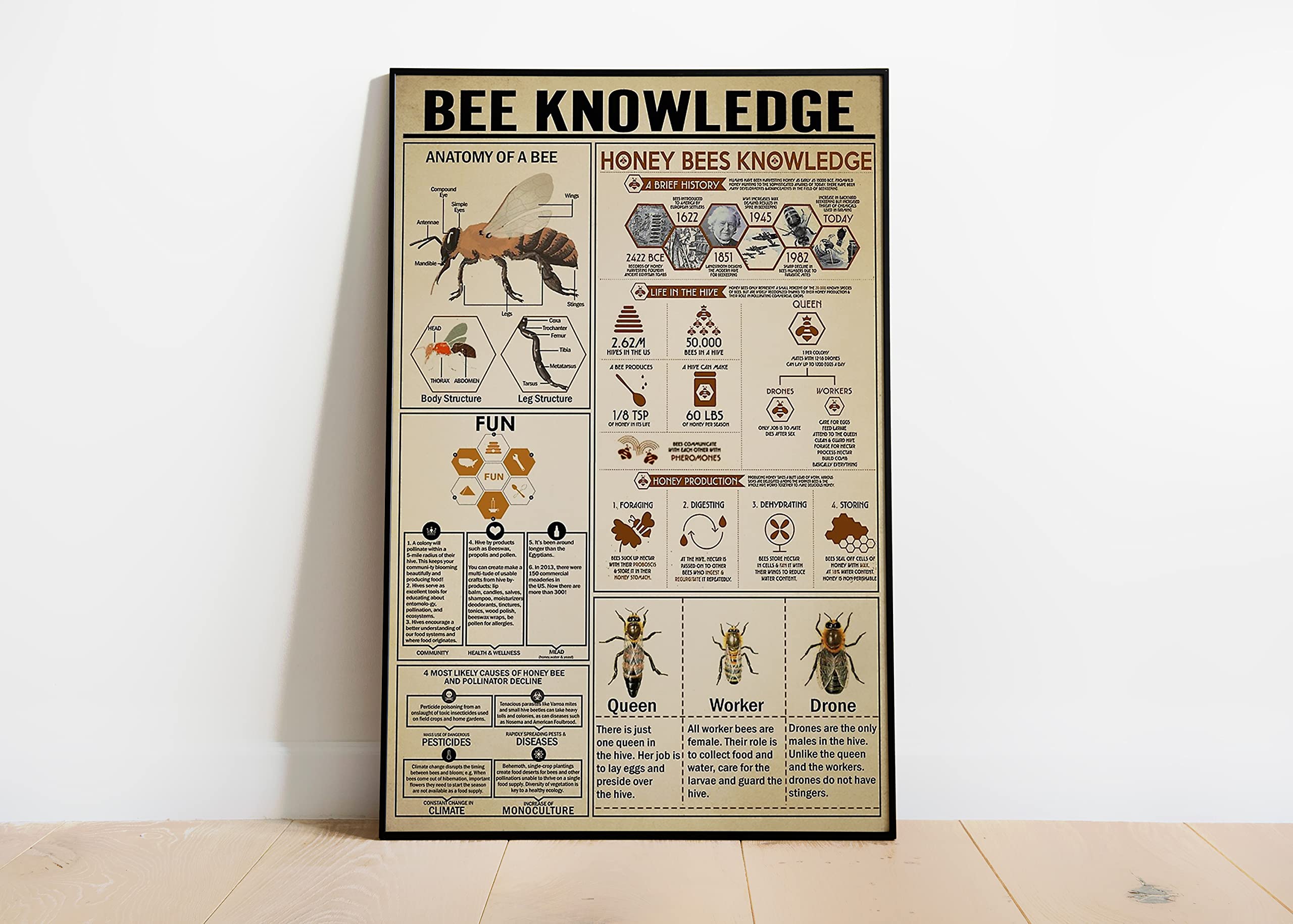 Retro Metal Tin Sign 5.5 X 8 Inches Bee Knowledge Anatomy of A Bee Honey Bees Knowledge Poster Bee Lover Gift Poster Funny Wall Decor Nostalgic Arts Decor Waterproof Plate Decoration Gifts