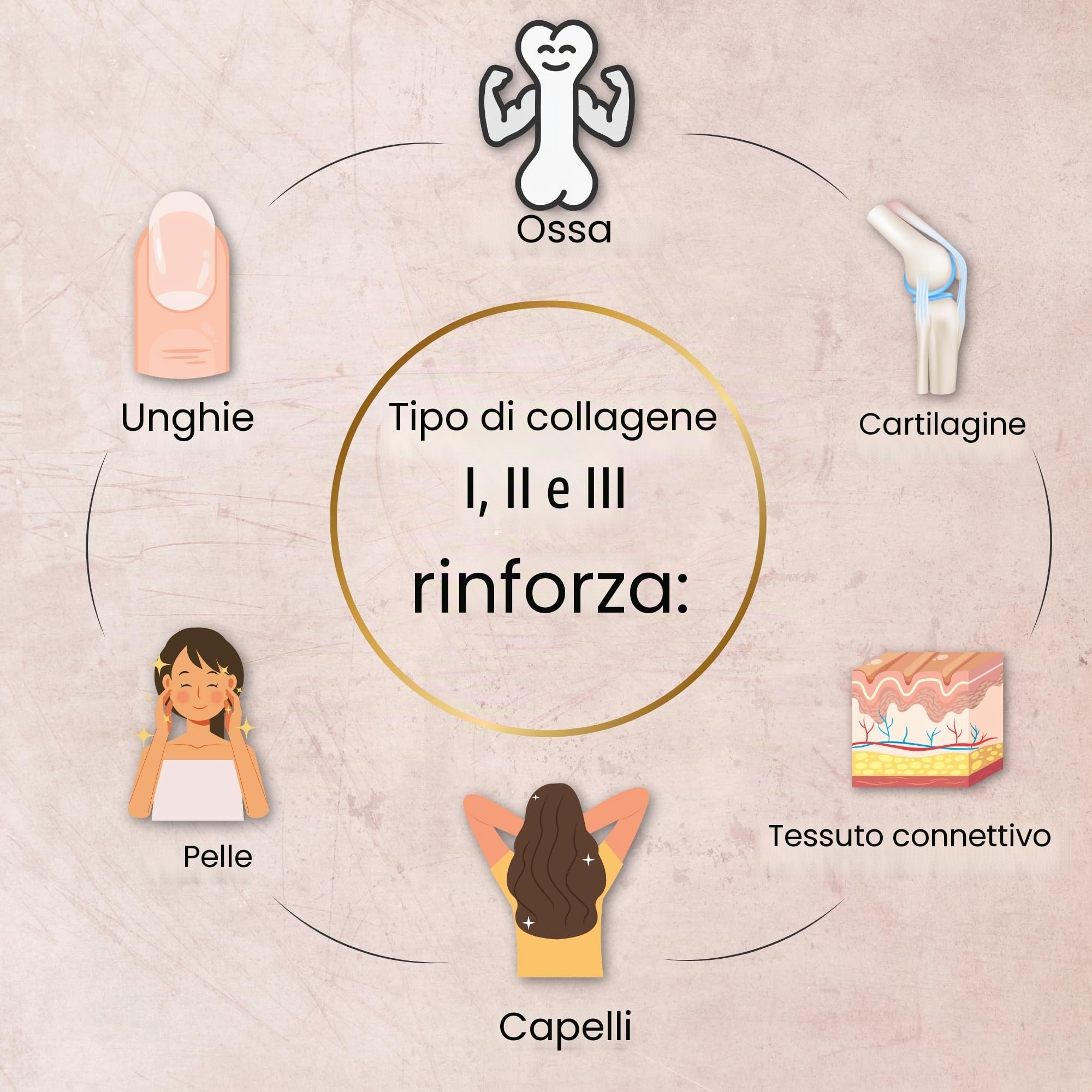 Polvere di collagene - collagene idrolizzato peptidi tipo 1, 2, 3 - Polvere proteica proteica - Senza additivi - Neutro al gusto - Salice - Testato da laboratorio - Made in
