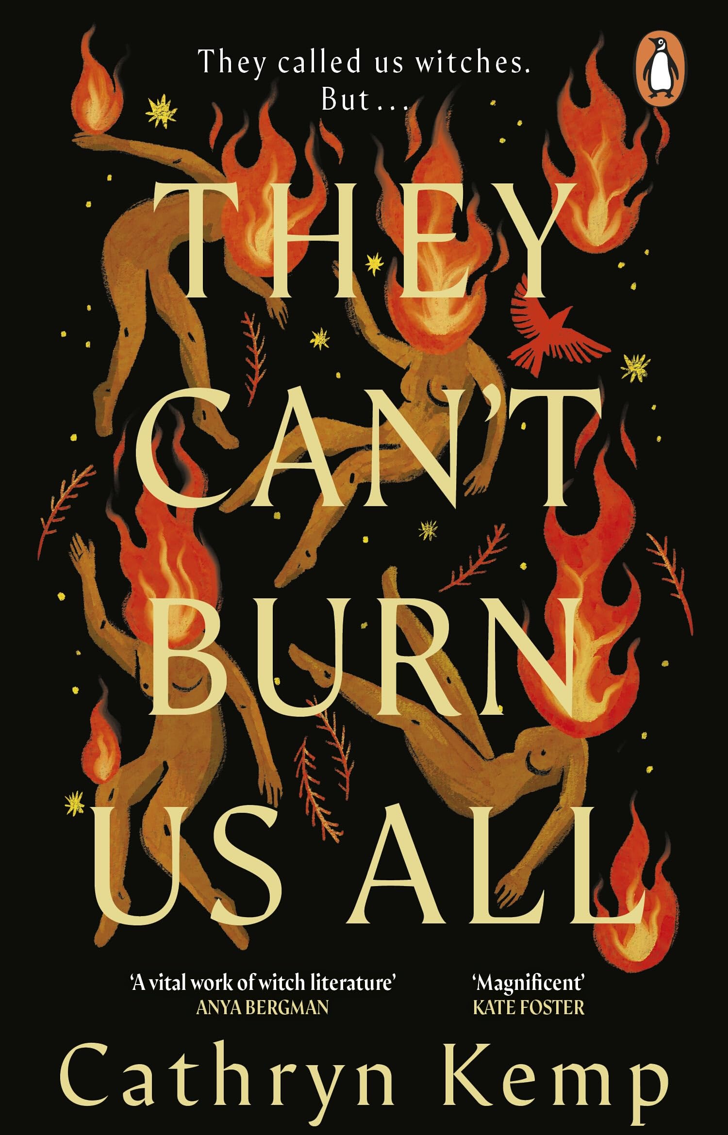 They Can't Burn Us All: The dark, captivating and magical new historical novel from the award-winning author of A Poisoner's Tale