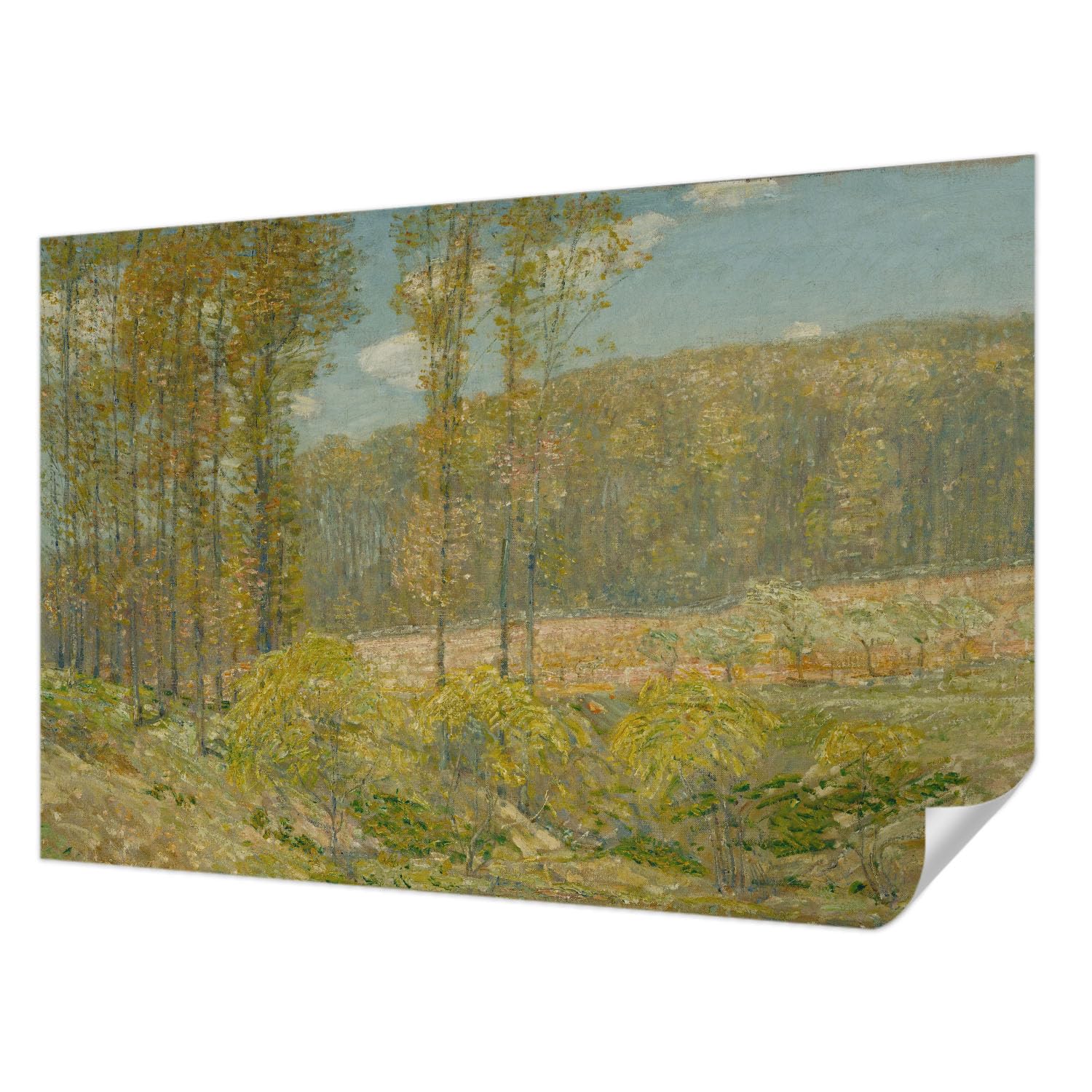 Papier Peint pour Chambre à Coucher Tulup Décor Forêt Brumeuse 104x70