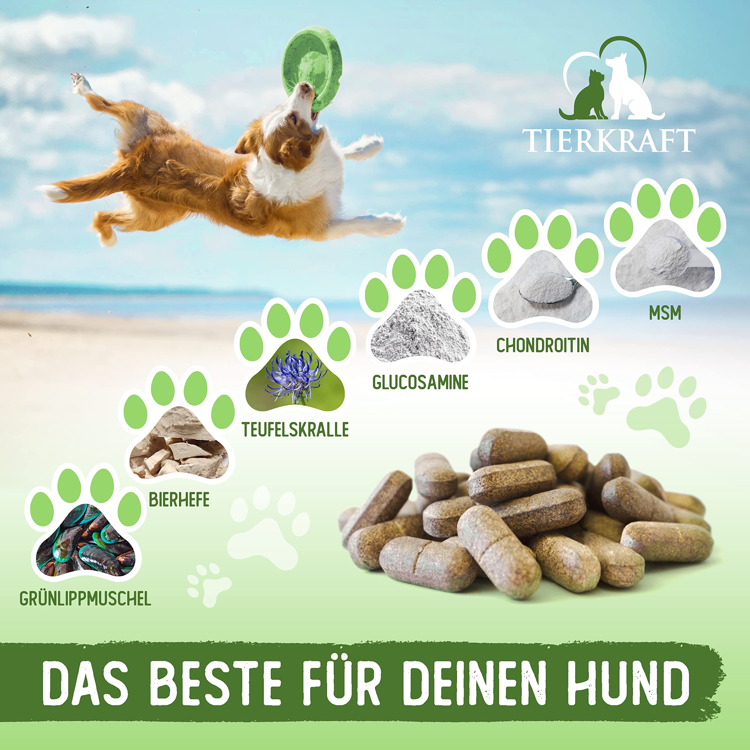 Tierkraft Gelenktabletten für Hunde - Made in Germany - Gelenktabletten Hund mit Grünlippmuschel - Teufelskralle Hund - MSM Hund & Grünlippmuschel Hund - 100 Gelenk- & Knochenschutz Tabletten