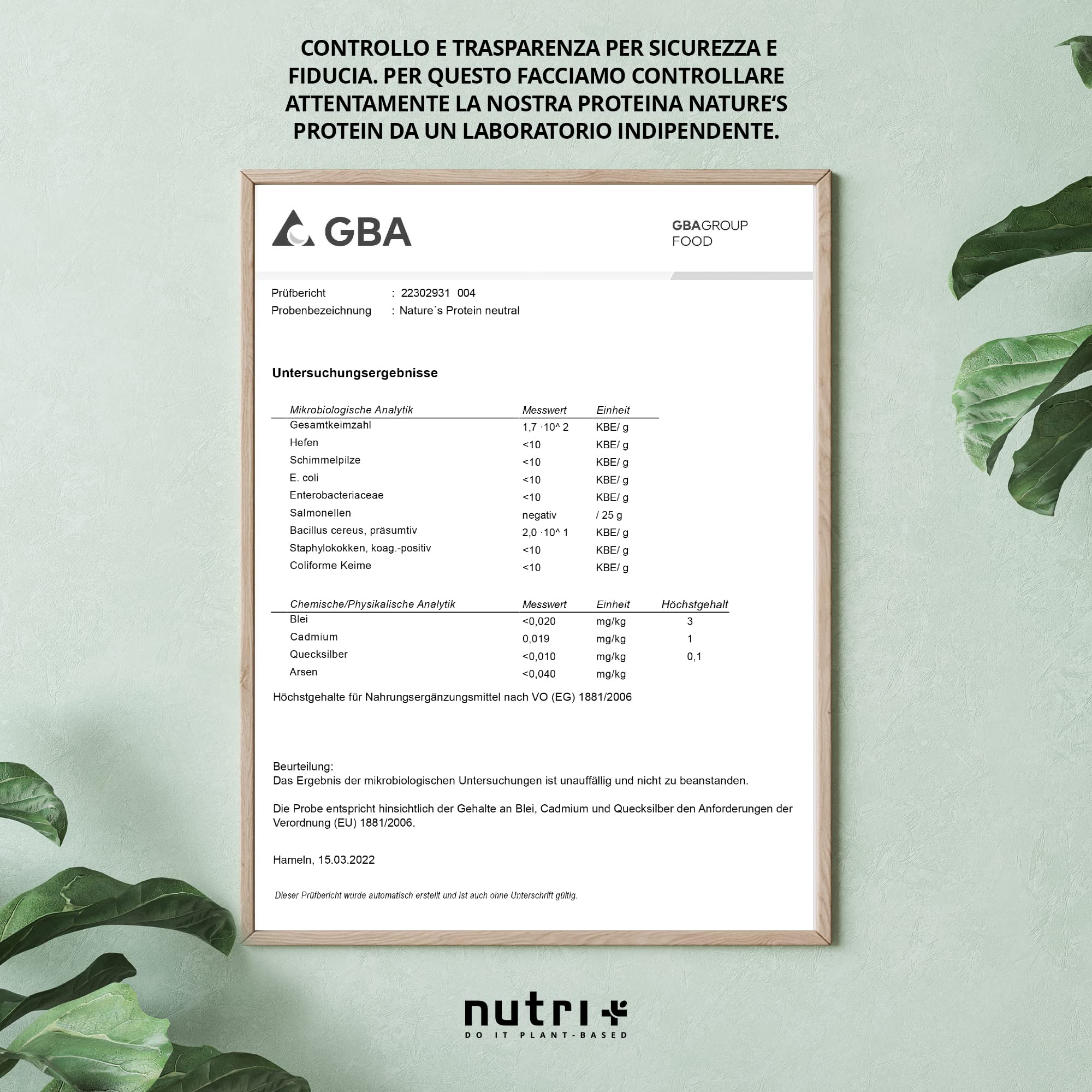 nutri+ Proteine in Polvere Naturali Cioccolato senza Edulcoranti 500g Proteina di Soia e Piselli Bibita Sportiva senza Lattosio per Shake o per Cucinare senza Glutine Vegano