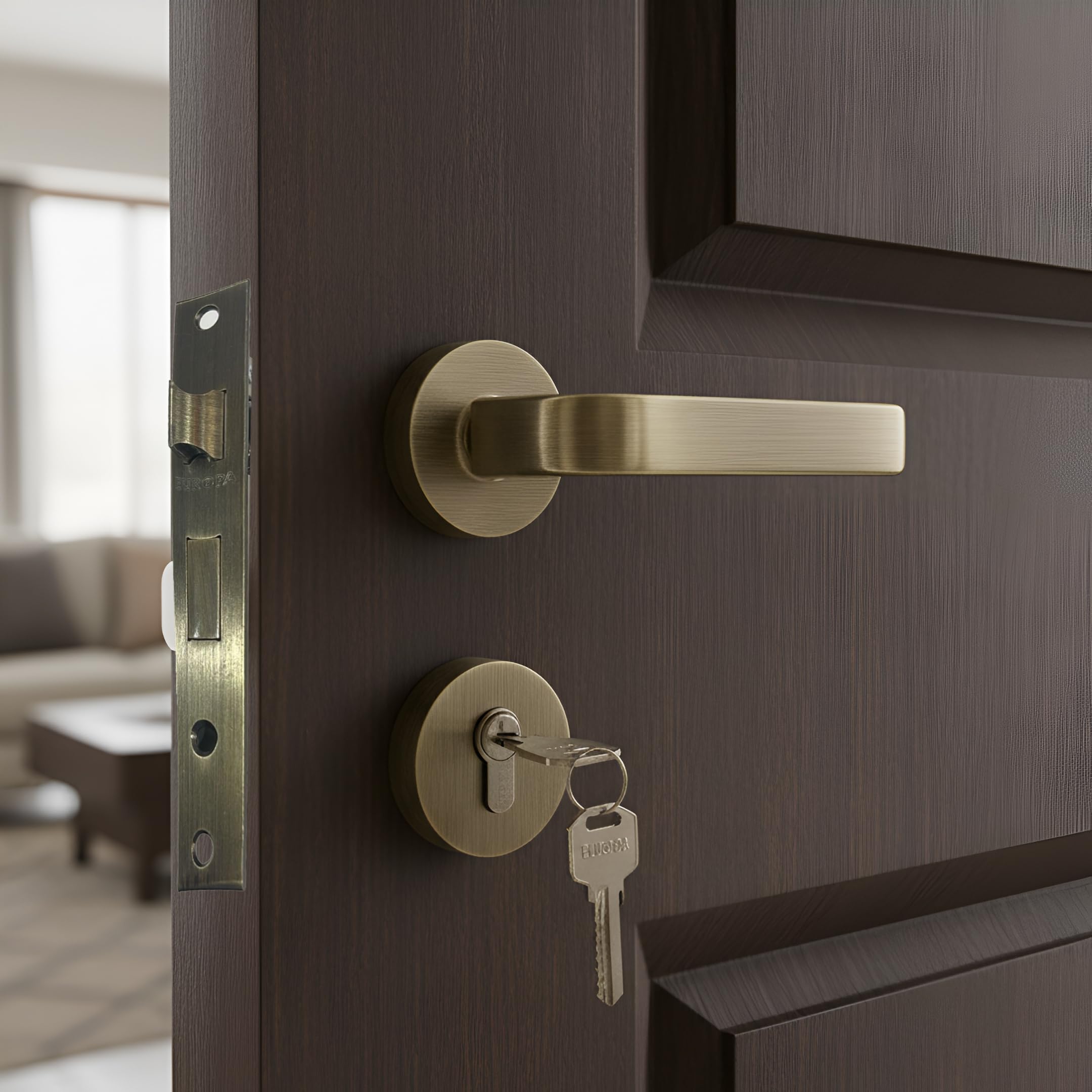 Europa Mortise Door Lock Handle Set Premium Door Locks for Main Door with 3 Keys | Door Handle Lock for Bedroom/Home/Office/Hotel (M516961R639AB)-image-47