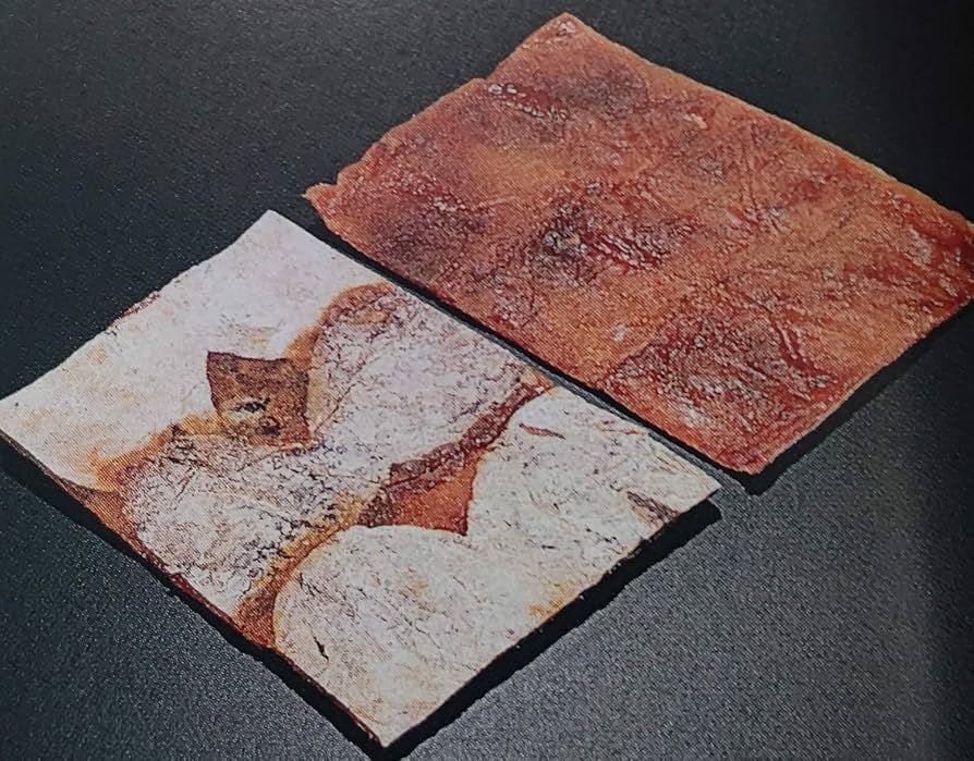 肉厚でとてもジューシー　冷凍でもおいしい　激甘干柿10kg Amazon.co.jp: 山下屋荘介 市田柿 干し柿 最高級 9個入り (270g