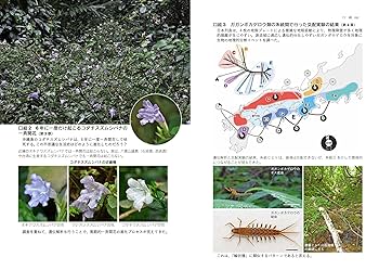 生物学　園芸学　育種学　遺伝学　等の辞典 生物学 園芸学 育種学 遺伝学 等の辞典 生物学 園芸学 育種