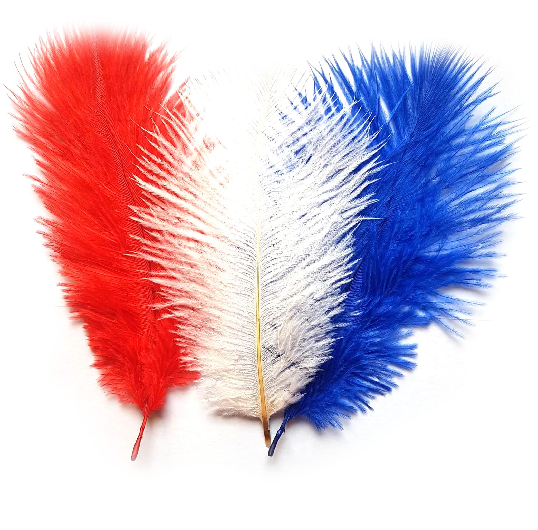 Red, White and Blue Ostrich Feathers x 3 (approx 5 to 6 inches) Kings Coronation, Eurovision Crafts, Costuming, Union Jack Mix