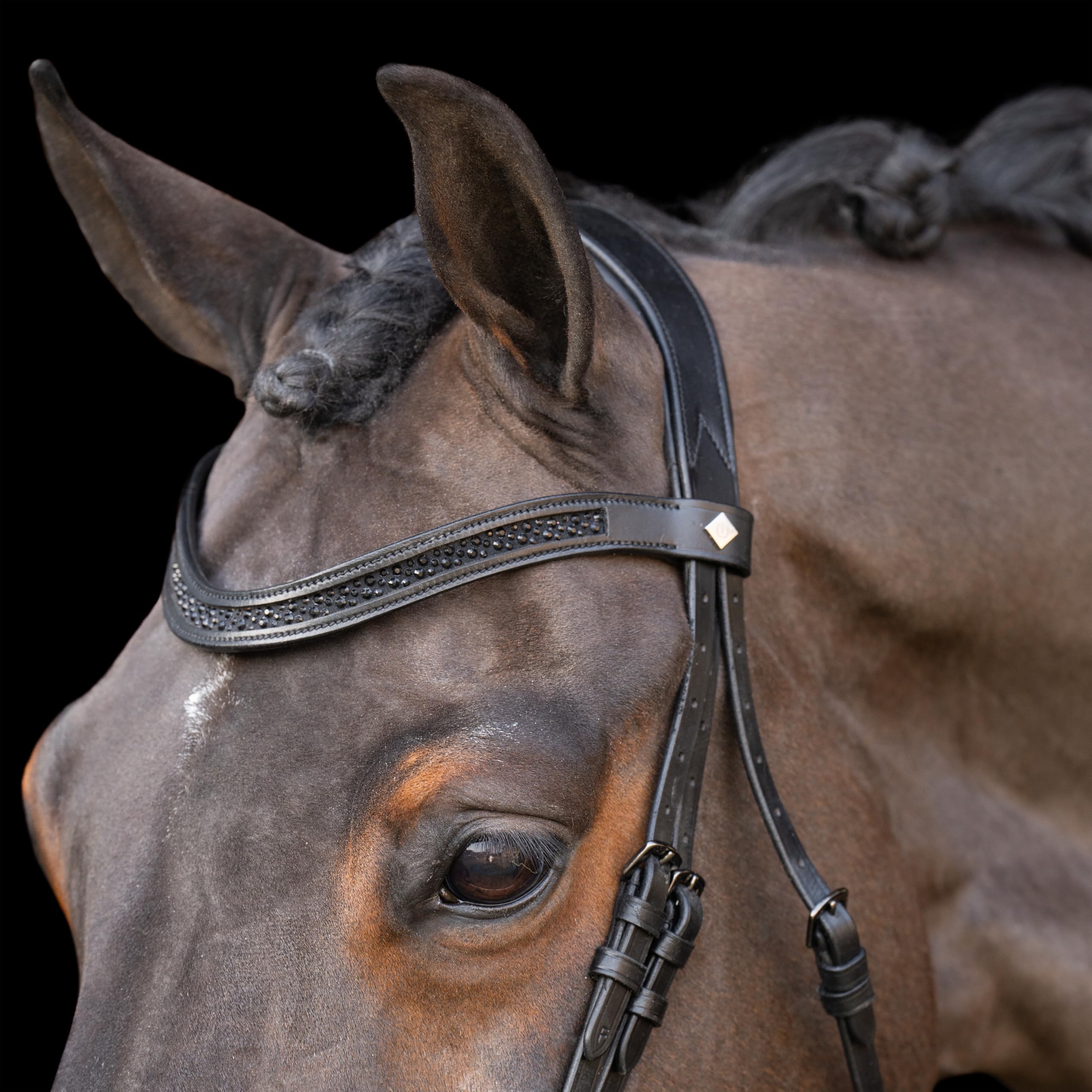 Imperial Riding IRH Ogłowie z angielskim noskiem, opaska na czoło ze strasu i wyściełana nakrycie głowy, skóra, czarny/czarny, Shetty