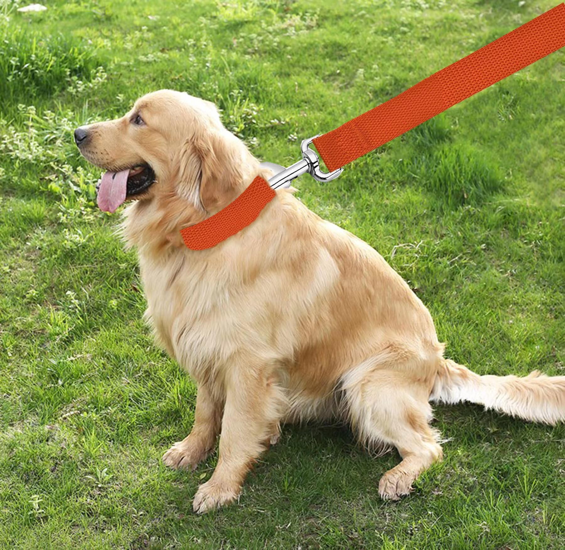 TAIAN Correa para Perros de Nailon Resistente de 1,2 m, para Perros pequeños, medianos y Grandes (1,9 cm x 1,5 m, Naranja)