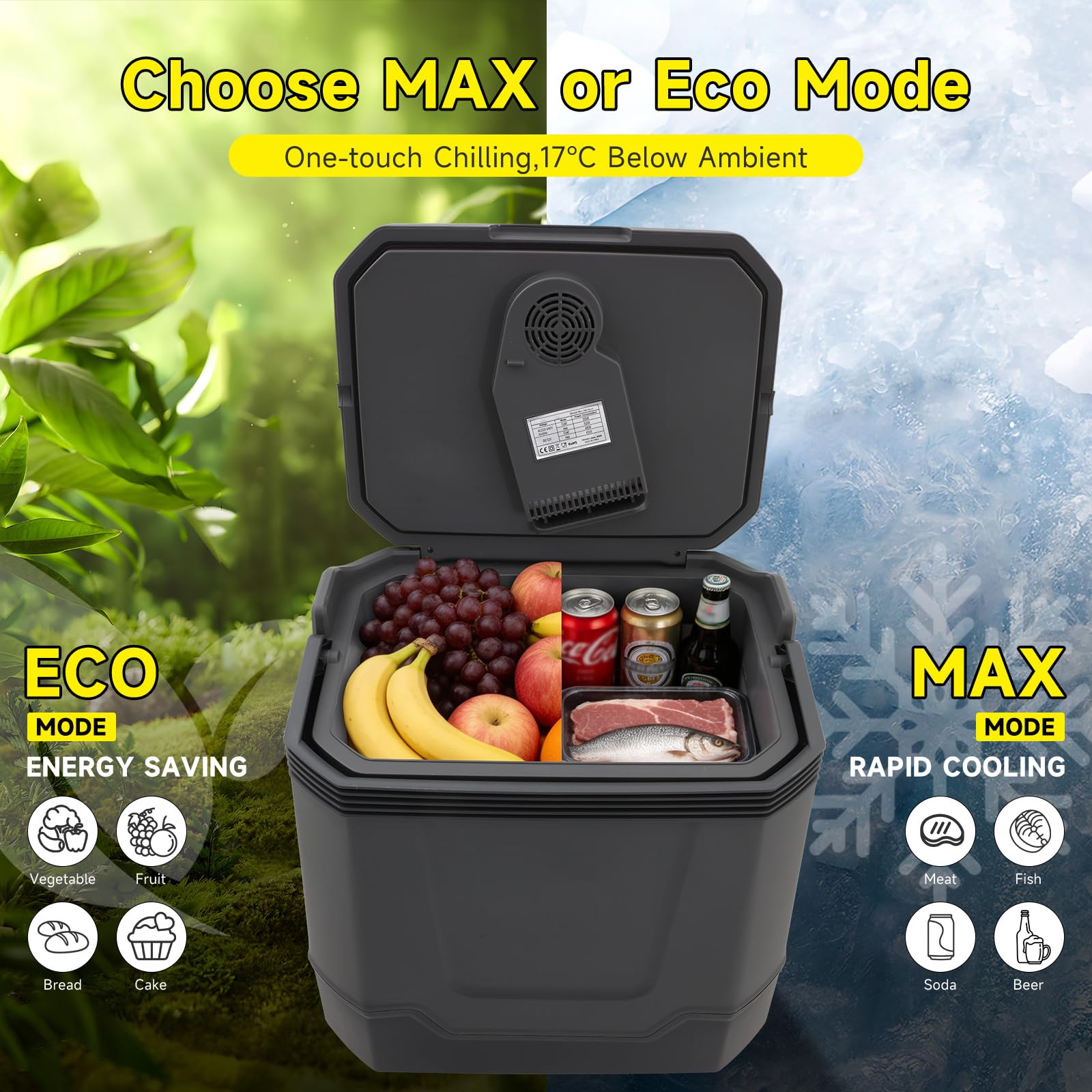 Elektrische Kühlbox 33L – Mini-Kühlschrank 12/230 V, kühlt & wärmt (bis 65°C), ECO-Modus, für Auto, Camping und Reisen