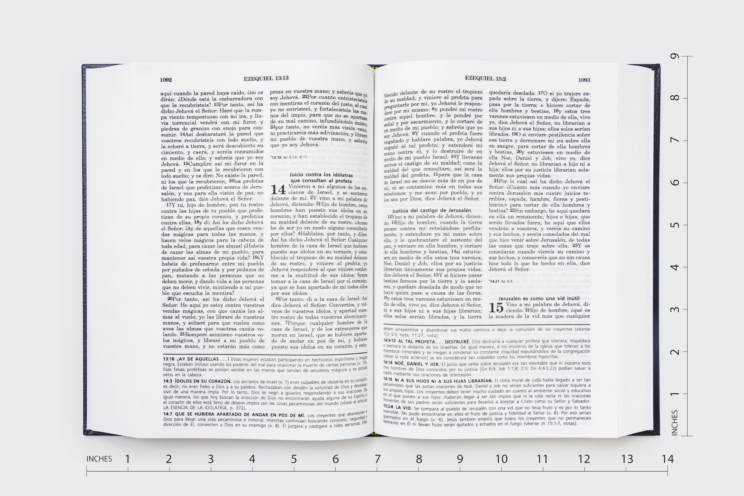Biblia de Estudio de la Vida Plena-RV 1960: Reina-Valera 1960 (Full Life Study Bible)