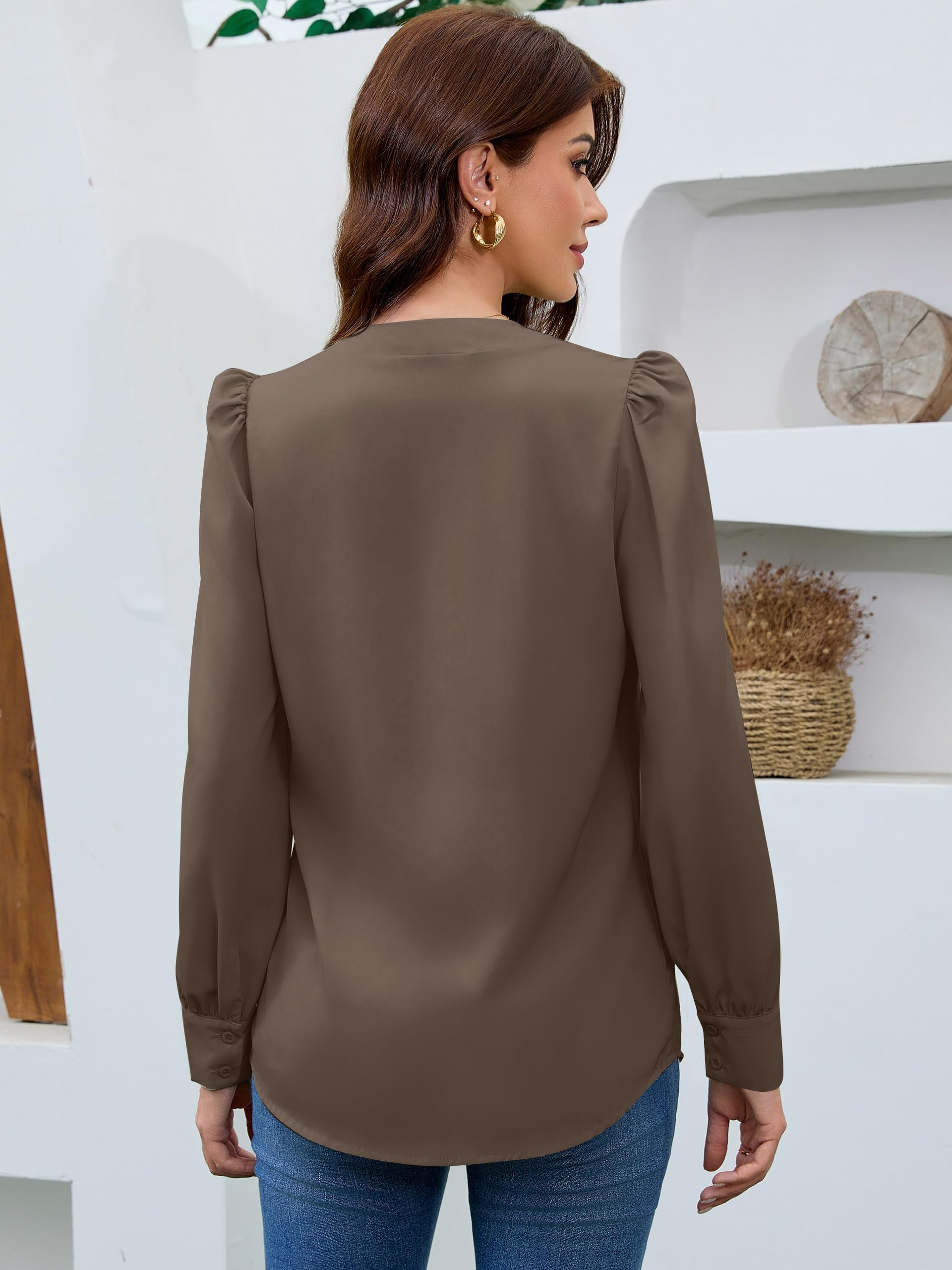 Blusen für Damen, Business, Freizeit, Satin, Seide, V-Ausschnitt, langärmelig, Button-Down-Shirt, Arbeitsblusen