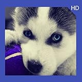 - Totally free. You don't need to spend your money to get all images. It is completely free.